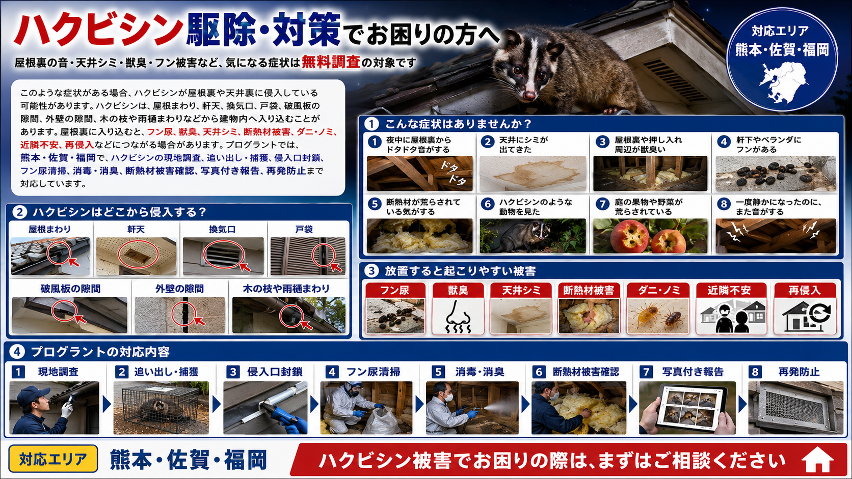 熊本・佐賀・福岡でハクビシン駆除に対応するプログラントが、屋根裏の音・天井シミ・フン尿・獣臭・断熱材被害・侵入経路と現地調査から侵入口封鎖・清掃消毒・写真付き報告・再発防止までの流れを解説した画像 