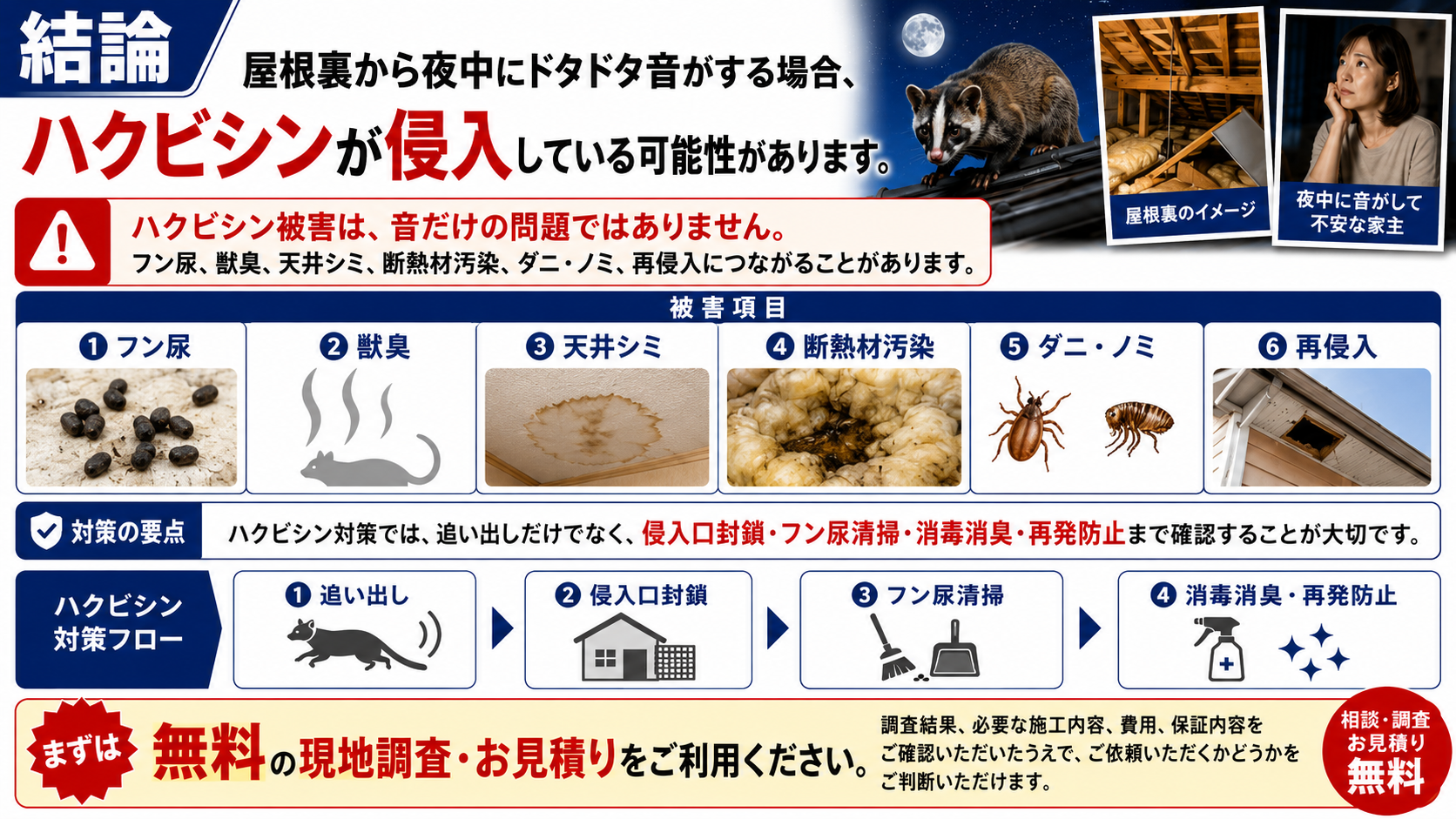屋根裏から夜中にドタドタ音がする場合のハクビシン侵入リスクと、フン尿・獣臭・天井シミ・断熱材汚染・ダニやノミ・再侵入などの被害、追い出し・侵入口封鎖・清掃消毒・再発防止までの対策を解説した画像 