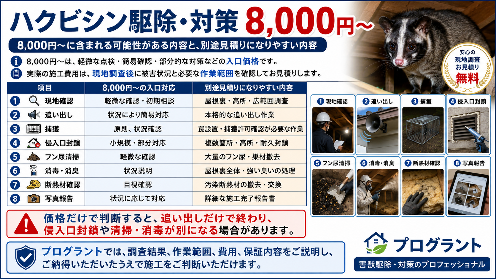 ハクビシン駆除・対策8,000円～の入口対応と別途見積りになりやすい内容を比較し、現地確認・追い出し・捕獲・侵入口封鎖・フン尿清掃・消毒消臭・断熱材確認・写真報告の費用確認ポイントを解説した画像 