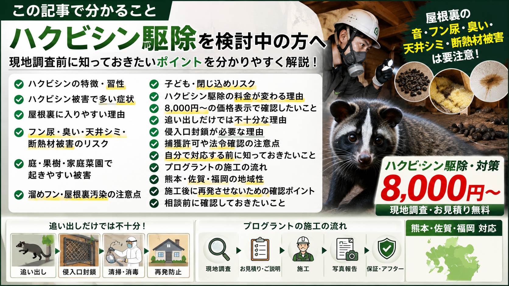 ハクビシン駆除を検討中の方へ、特徴や習性・屋根裏被害・フン尿や臭い・天井シミ・断熱材被害・料金確認・侵入口封鎖・法令確認・施工の流れを解説するプログラントのサムネイル画像