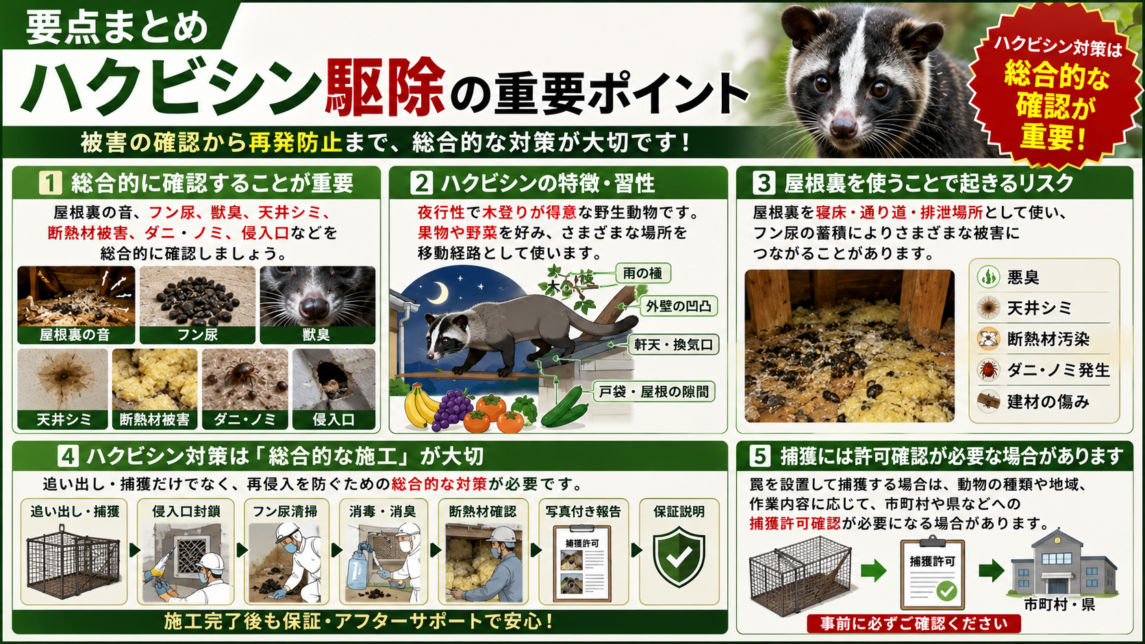 ハクビシン駆除の要点まとめとして、屋根裏の音・フン尿・獣臭・天井シミ・断熱材被害・ダニやノミ・侵入口確認から、追い出し捕獲・侵入口封鎖・清掃消毒・写真付き報告・保証説明・捕獲許可確認までを解説した画像 
