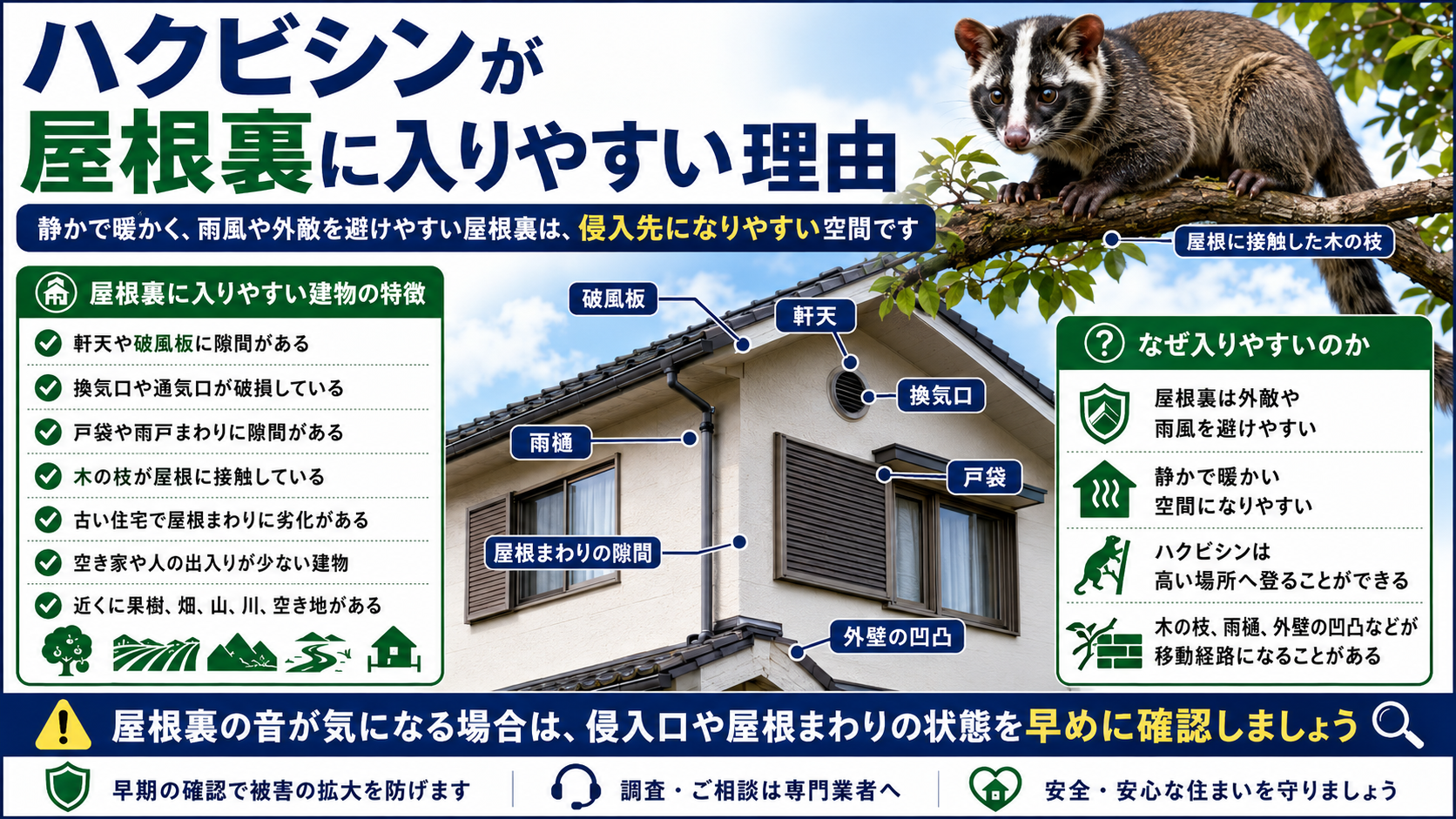 ハクビシンが屋根裏に入りやすい理由として、軒天・破風板・換気口・戸袋・雨樋・外壁の凹凸・屋根まわりの隙間・木の枝などの侵入経路と建物の特徴を解説した画像 
