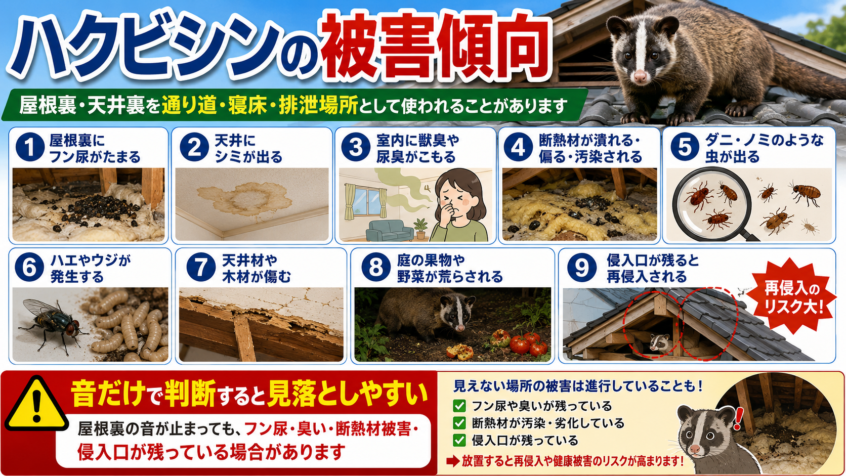 ハクビシン被害の傾向として、屋根裏や天井裏にフン尿がたまることで起こる悪臭・天井シミ・断熱材汚染・ダニやノミ・ハエやウジ・建材の傷み・再侵入リスクを解説した画像 