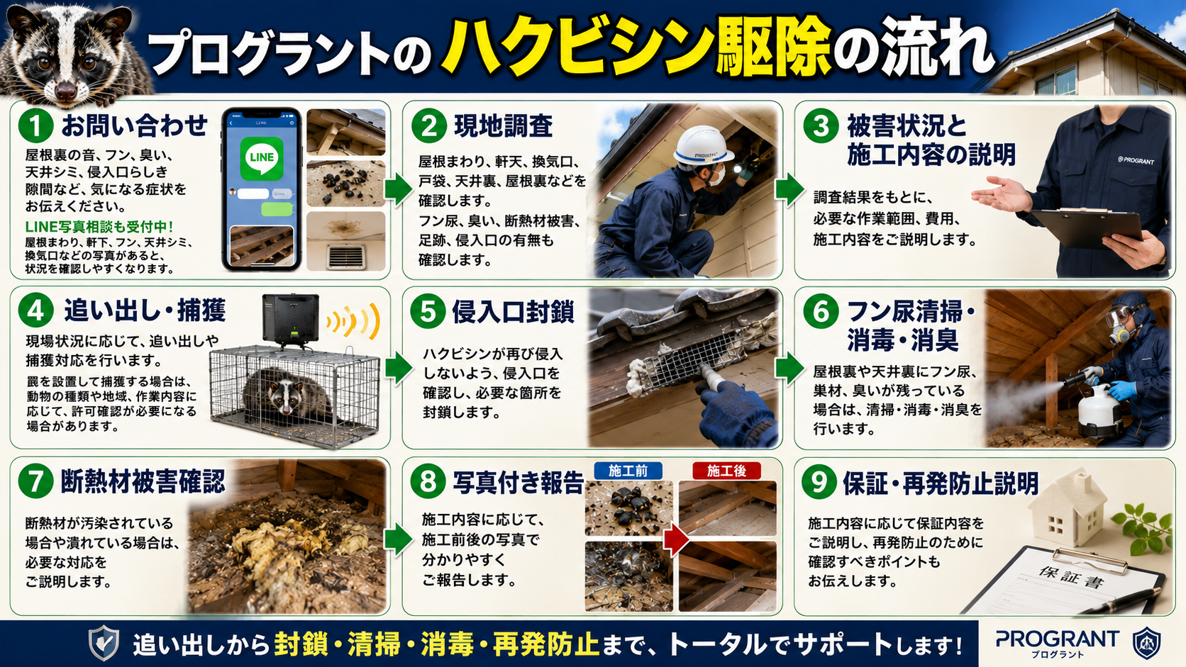 プログラントのハクビシン駆除の流れとして、お問い合わせ・現地調査・被害状況説明・追い出し捕獲・侵入口封鎖・フン尿清掃・消毒消臭・断熱材確認・写真付き報告・保証再発防止説明までを解説した画像 