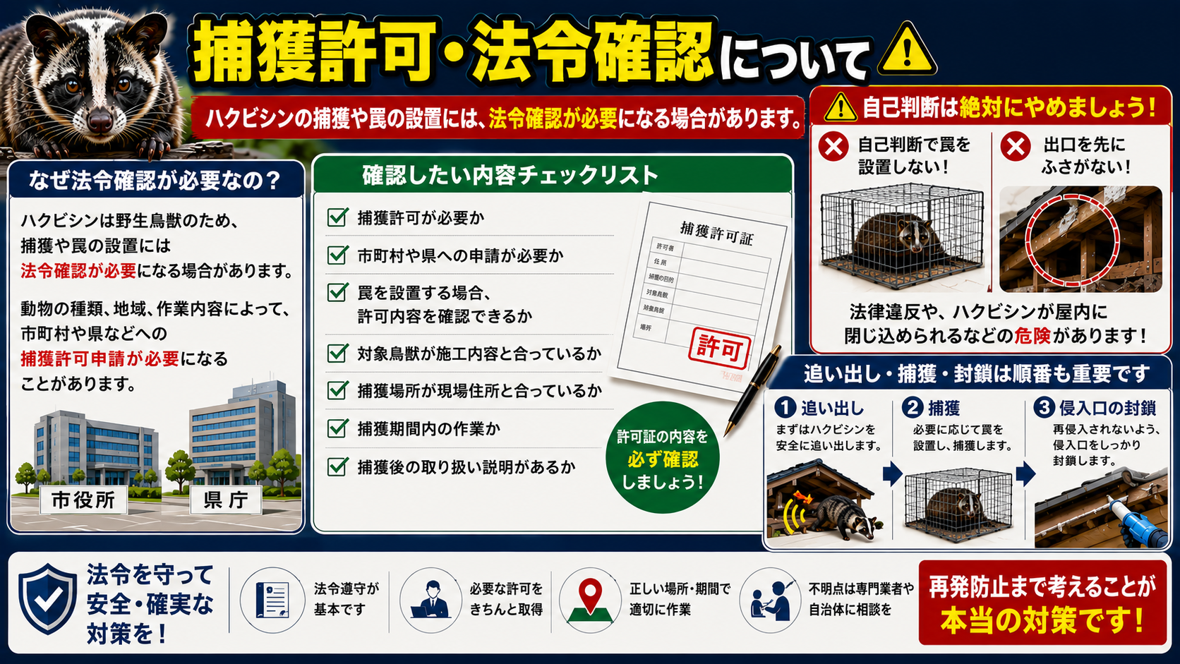 ハクビシンの捕獲許可・法令確認について、罠の設置や捕獲時に市町村や県への申請確認が必要になる場合や、許可内容・対象鳥獣・捕獲場所・捕獲期間・追い出し捕獲封鎖の正しい順番を解説した画像 