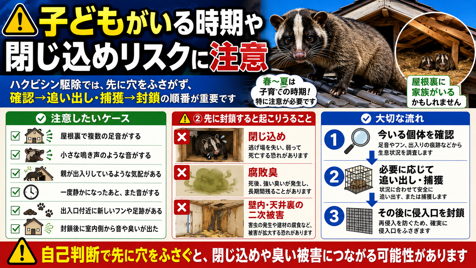 ハクビシン駆除で子どもがいる時期や閉じ込めリスクに注意し、屋根裏や天井裏の個体確認後に追い出し・捕獲・侵入口封鎖を行う正しい順番と、腐敗臭や二次被害を防ぐ重要性を解説した画像 