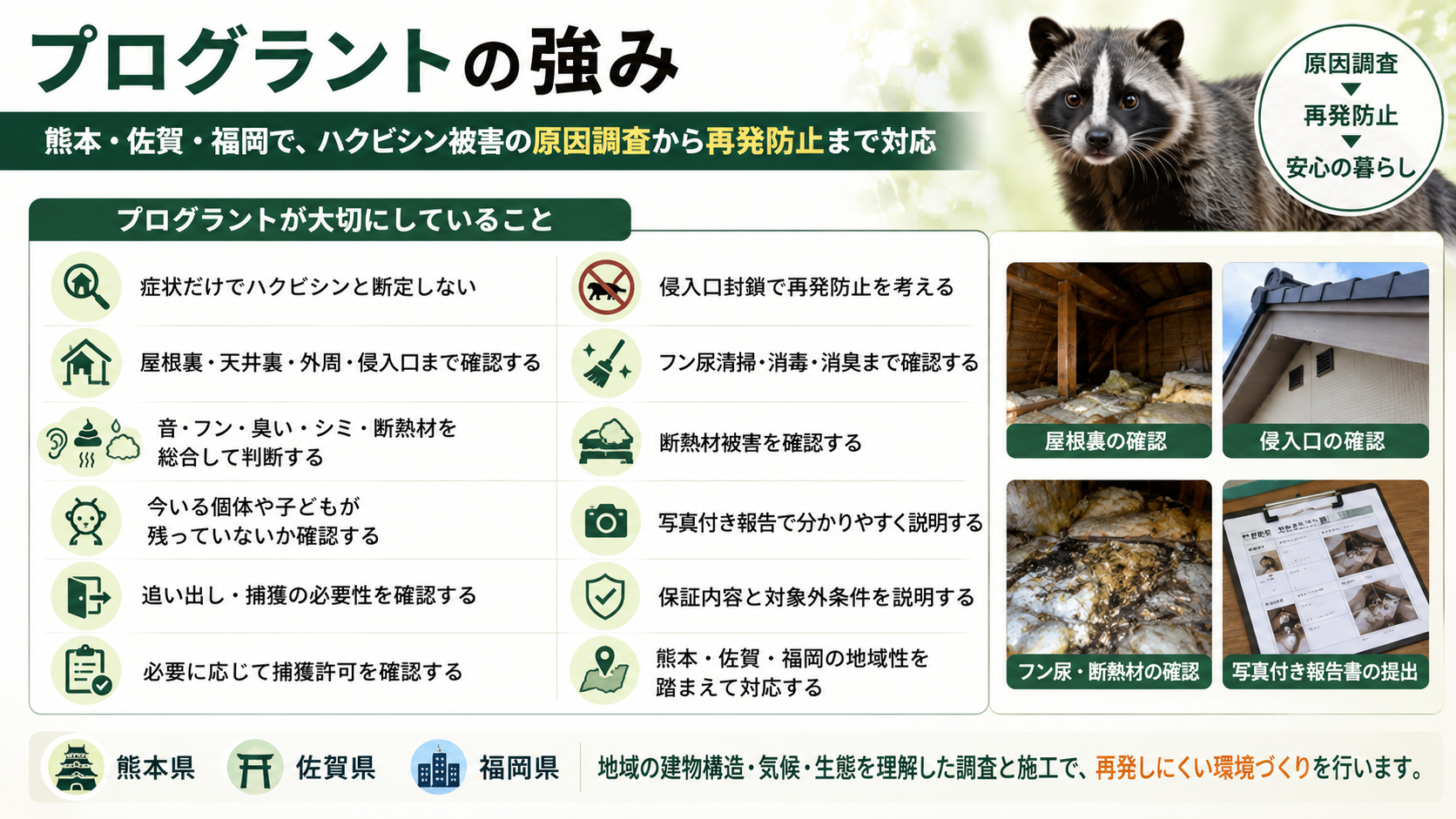 熊本・佐賀・福岡でハクビシン被害に対応するプログラントの強みとして、症状だけで断定せず屋根裏・天井裏・外周・侵入口・フン尿・臭い・断熱材被害を総合調査し、侵入口封鎖・清掃消毒・写真付き報告・保証説明まで行うことを紹介した画像 
