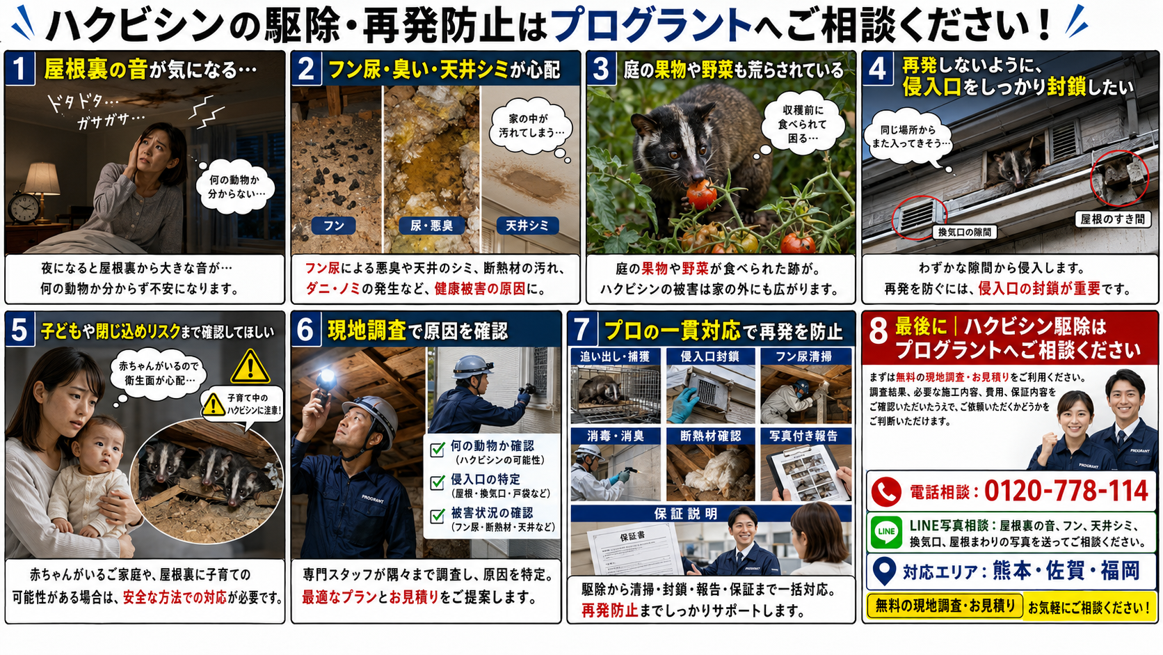 ハクビシン駆除はプログラントへ相談と案内する8コマ漫画風画像で、屋根裏の音・フン尿・天井シミ・果樹被害・侵入口封鎖・現地調査・再発防止・熊本佐賀福岡対応・電話LINE相談を解説した画像 