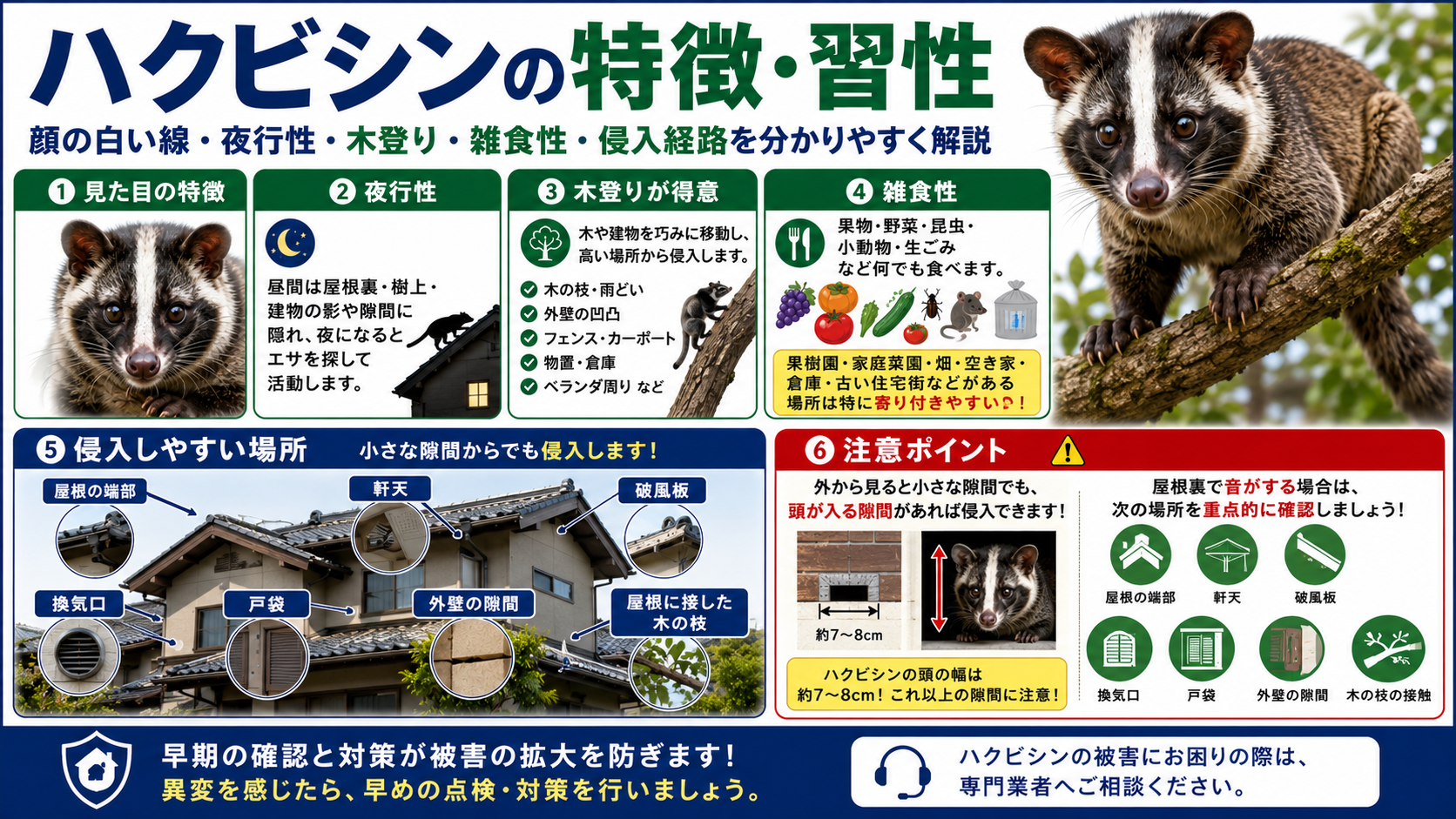 ハクビシンの特徴・習性として、顔の白い線・夜行性・木登り・雑食性・果樹や家庭菜園への出没、屋根まわり・軒天・破風板・換気口・戸袋・外壁の隙間など住宅への侵入経路を解説した画像

