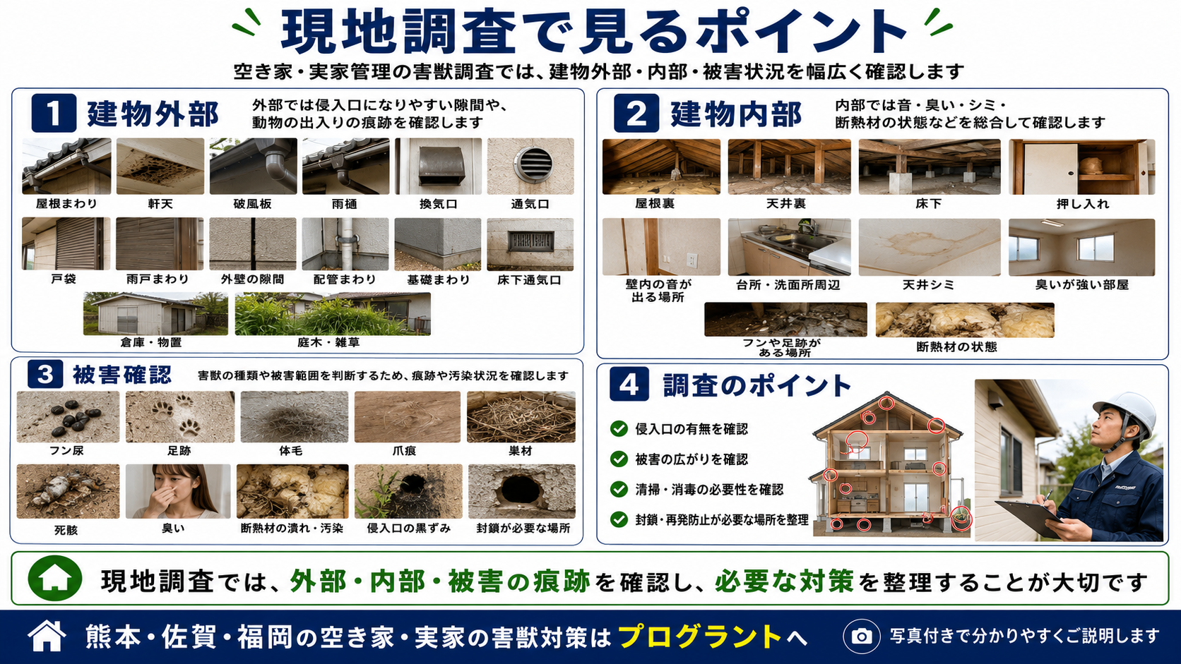 株式会社プログラントの空き家・実家の害獣調査で見るポイントを紹介する画像。熊本・佐賀・福岡で、屋根まわり、軒天、換気口、戸袋、外壁の隙間、基礎まわり、床下通気口、屋根裏、天井裏、床下、押し入れ、フン尿、足跡、体毛、爪痕、巣材、死骸、臭い、断熱材被害、侵入口確認などの調査項目を写真付きで解説