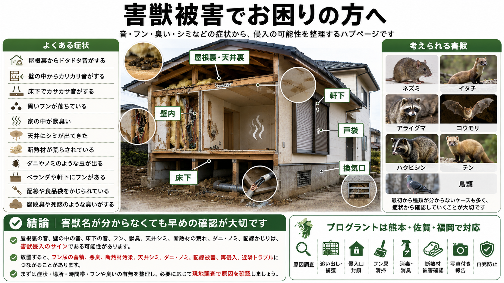害獣被害の症状と侵入箇所を解説した図解、屋根裏・壁内・床下・軒下・戸袋・換気口からの侵入やフン・臭い・天井シミ・断熱材被害を確認するポイント