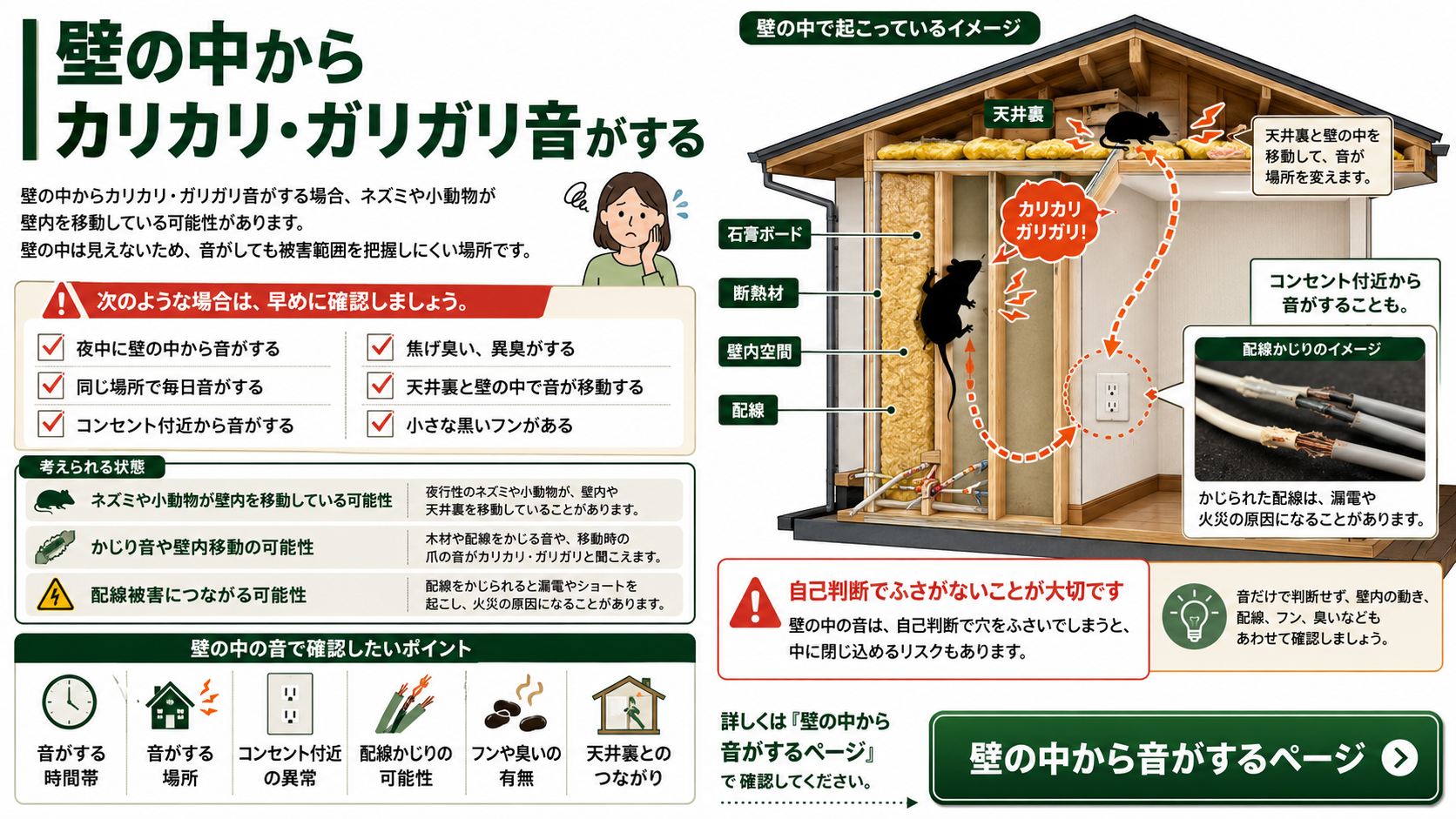 壁の中からカリカリ・ガリガリ音がする原因を解説した図解、ネズミや小動物の壁内移動・配線かじり・フン・異臭・閉じ込めリスクの確認ポイント
