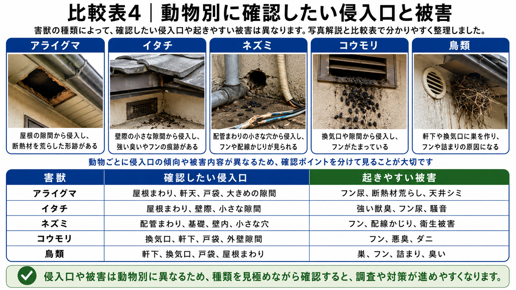 アライグマ・イタチ・ネズミ・コウモリ・鳥類ごとの侵入口と起きやすい被害の違いを、写真と比較表で分かりやすく解説した画像 