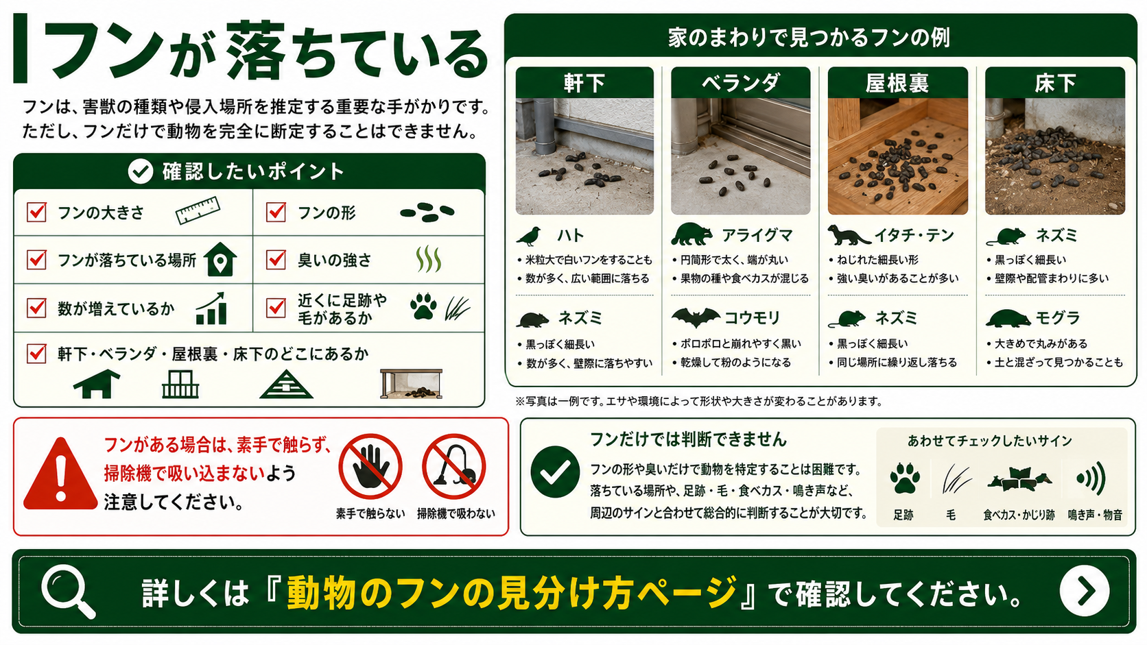 害獣のフン被害を解説した図解、フンの大きさ・形・場所・臭いの確認ポイントと屋根裏・床下・軒下・ベランダで見つかるフンの見分け方