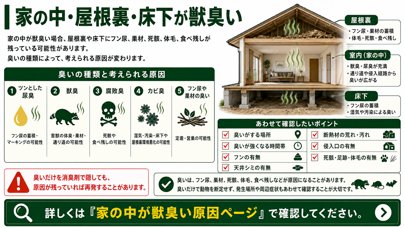 害獣被害の種類一覧|音・フン・臭い・天井シミ・断熱材被害の確認ポイント