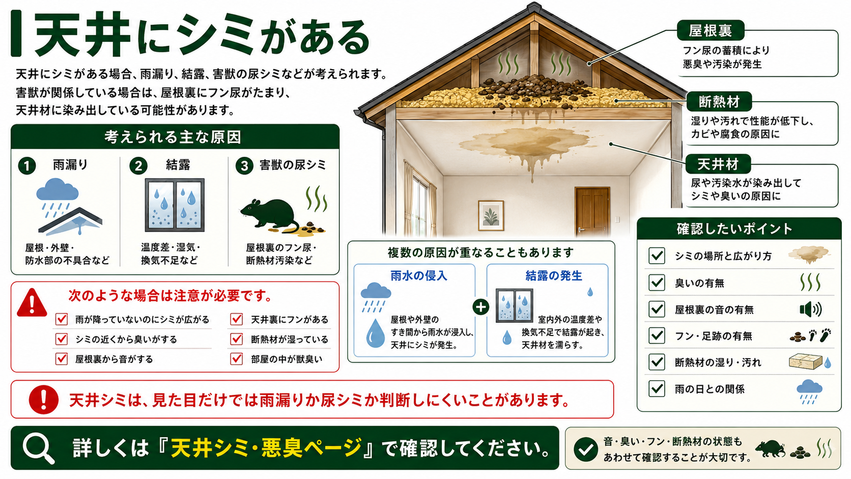 天井にシミがある原因を解説した図解、雨漏り・結露・害獣の尿シミの可能性と屋根裏のフン尿・断熱材汚染・臭いの確認ポイント