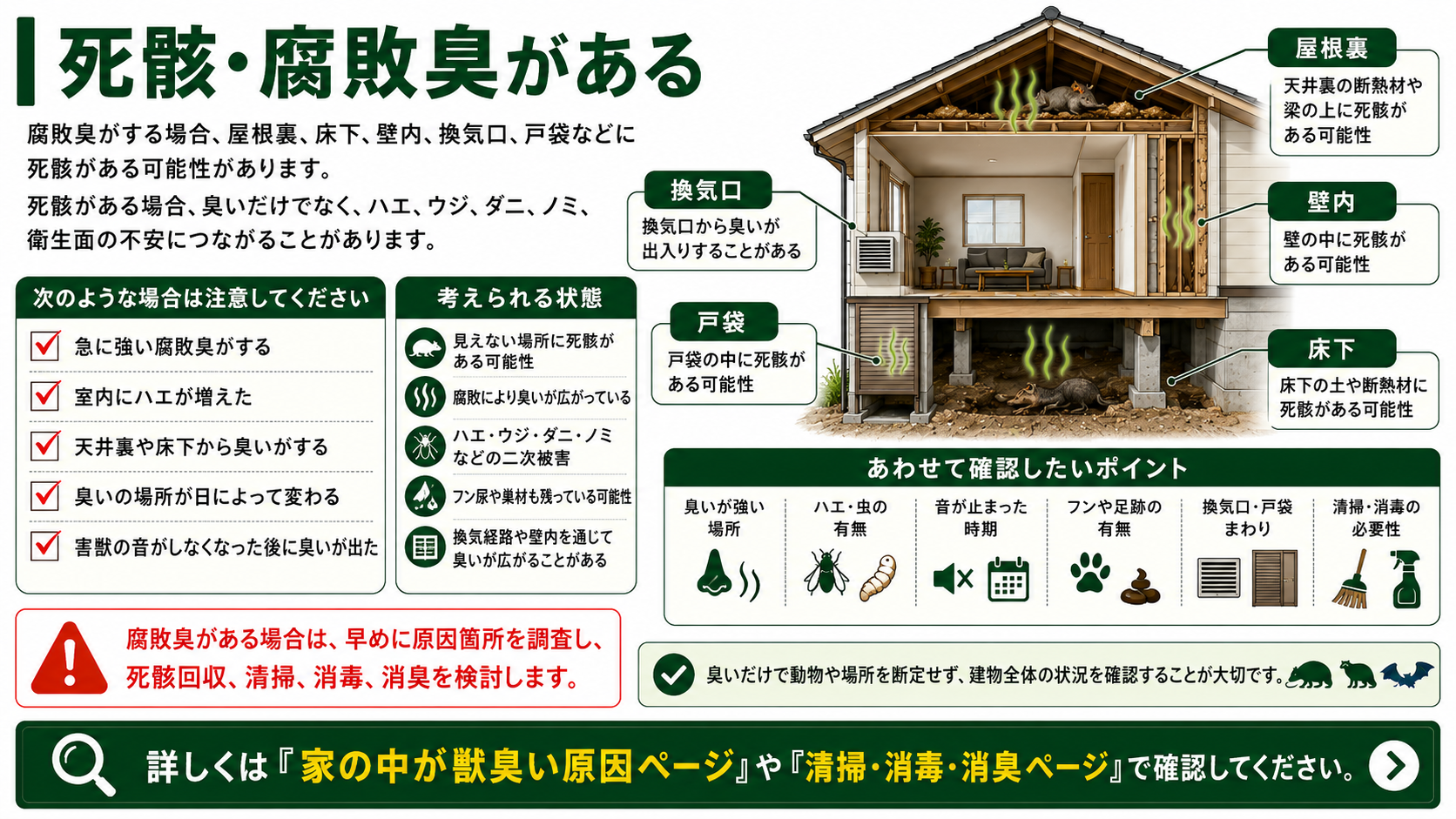 死骸・腐敗臭がある原因を解説した図解、屋根裏・床下・壁内・換気口・戸袋に残る死骸やフン尿による臭い・ハエ・ダニ・ノミの確認ポイント