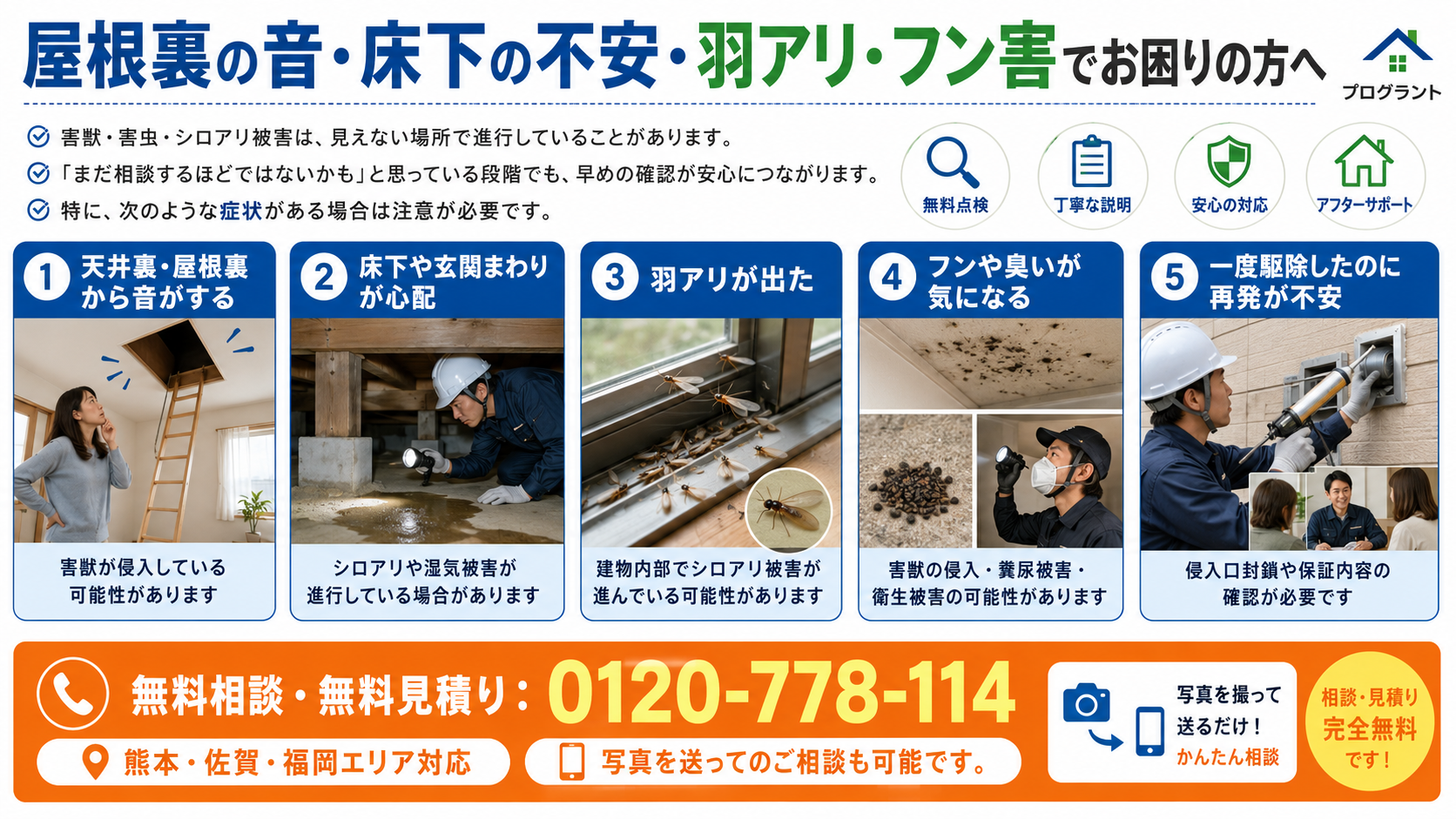 屋根裏の音・床下の不安・羽アリ・フン害など害獣・害虫・シロアリ被害の症状と無料相談先を写真付きで解説するプログラントの案内画像

