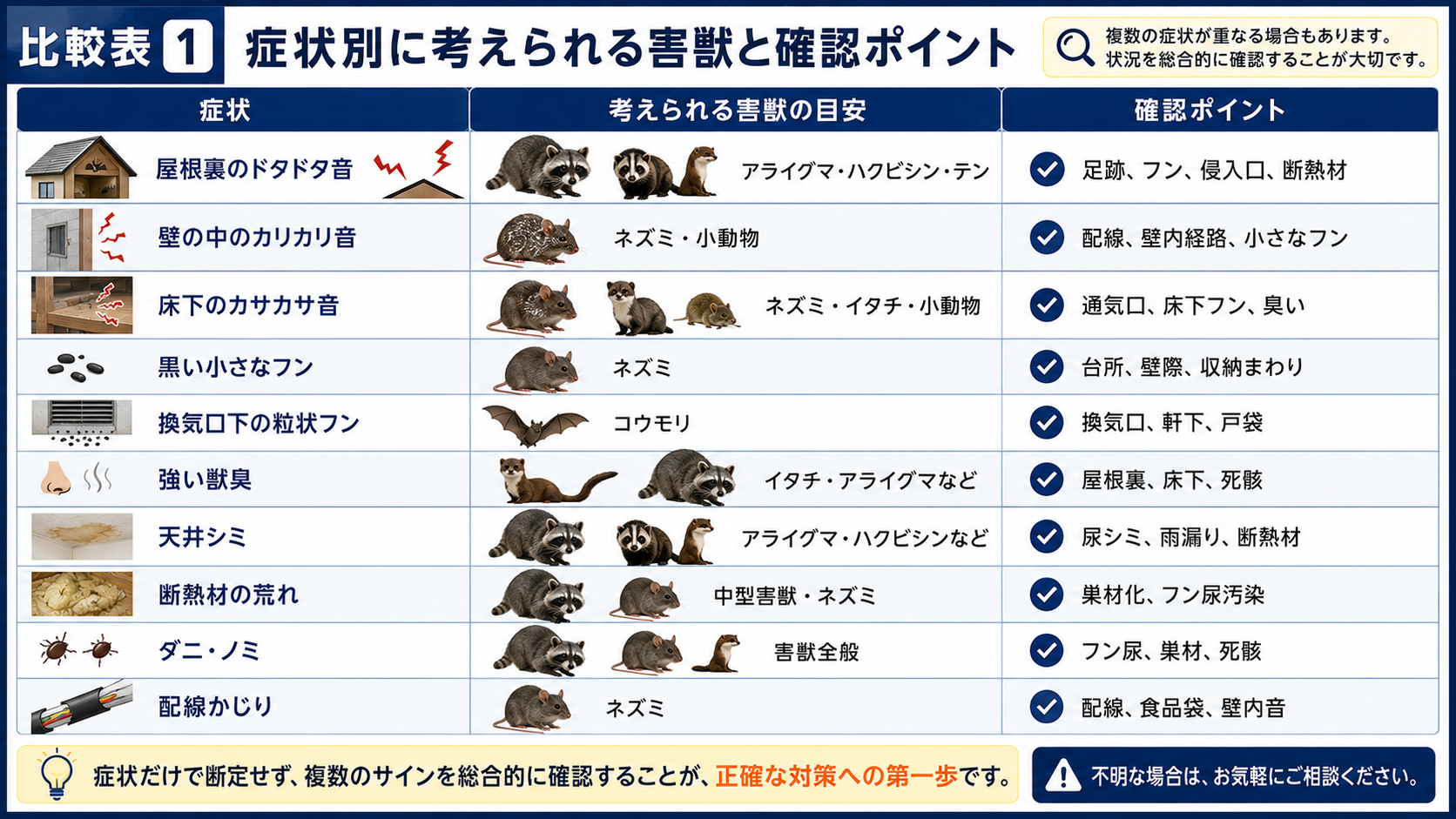 屋根裏の音やフン、臭い、天井シミ、断熱材被害、配線かじりなどの症状別に考えられる害獣と確認ポイントを比較した16対9画像。