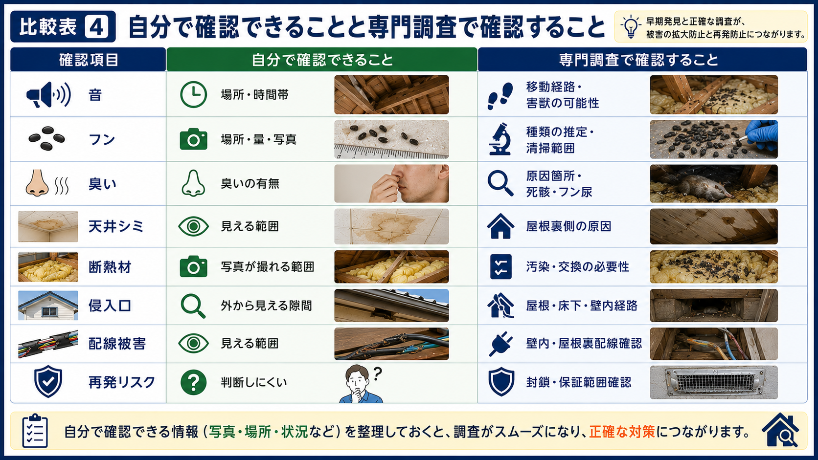 自分で確認できる害獣被害の音・フン・臭い・天井シミ・断熱材・侵入口・配線被害と、専門調査で確認する移動経路や清掃範囲、再発リスクを比較した16対9画像。