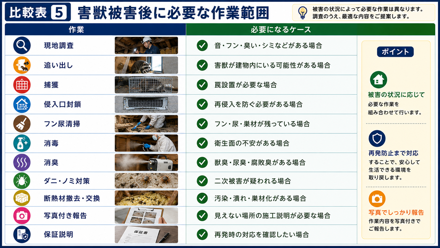 害獣被害後に必要な現地調査、追い出し、捕獲、侵入口封鎖、フン尿清掃、消毒消臭、ダニノミ対策、断熱材撤去交換、写真付き報告、保証説明の作業範囲をまとめた16対9画像。