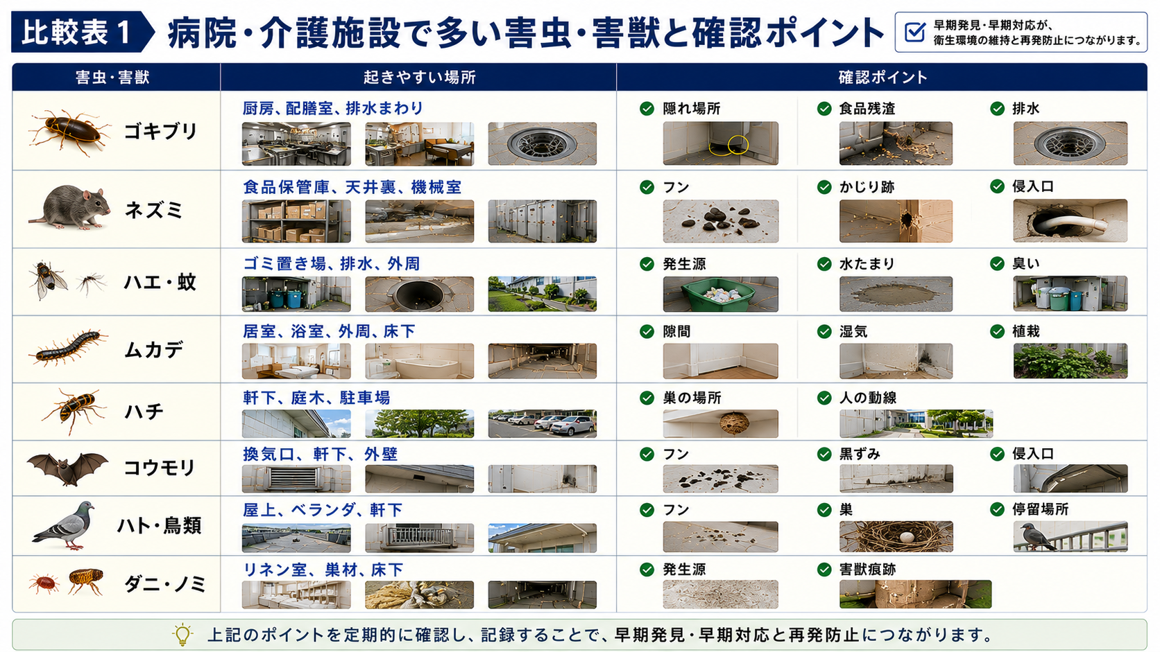 病院・介護施設で多いゴキブリ、ネズミ、ハエ、蚊、ムカデ、ハチ、コウモリ、ハト、ダニノミの起きやすい場所と、フン・かじり跡・侵入口・発生源などの確認ポイントを比較した16対9画像。