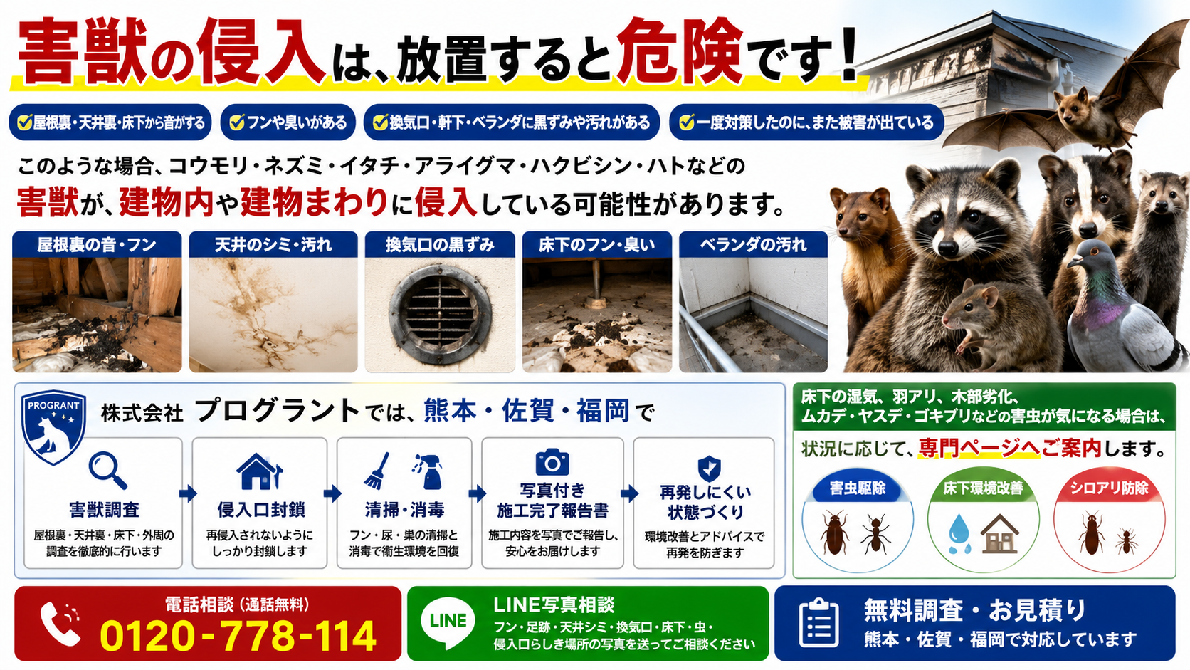 熊本・佐賀・福岡の害獣駆除|屋根裏・天井裏・床下のコウモリ・ネズミ・イタチ・アライグマ・ハクビシン・ハト被害を無料調査・侵入口封鎖・清掃消毒・写真付き報告で対応する株式会社プログラント