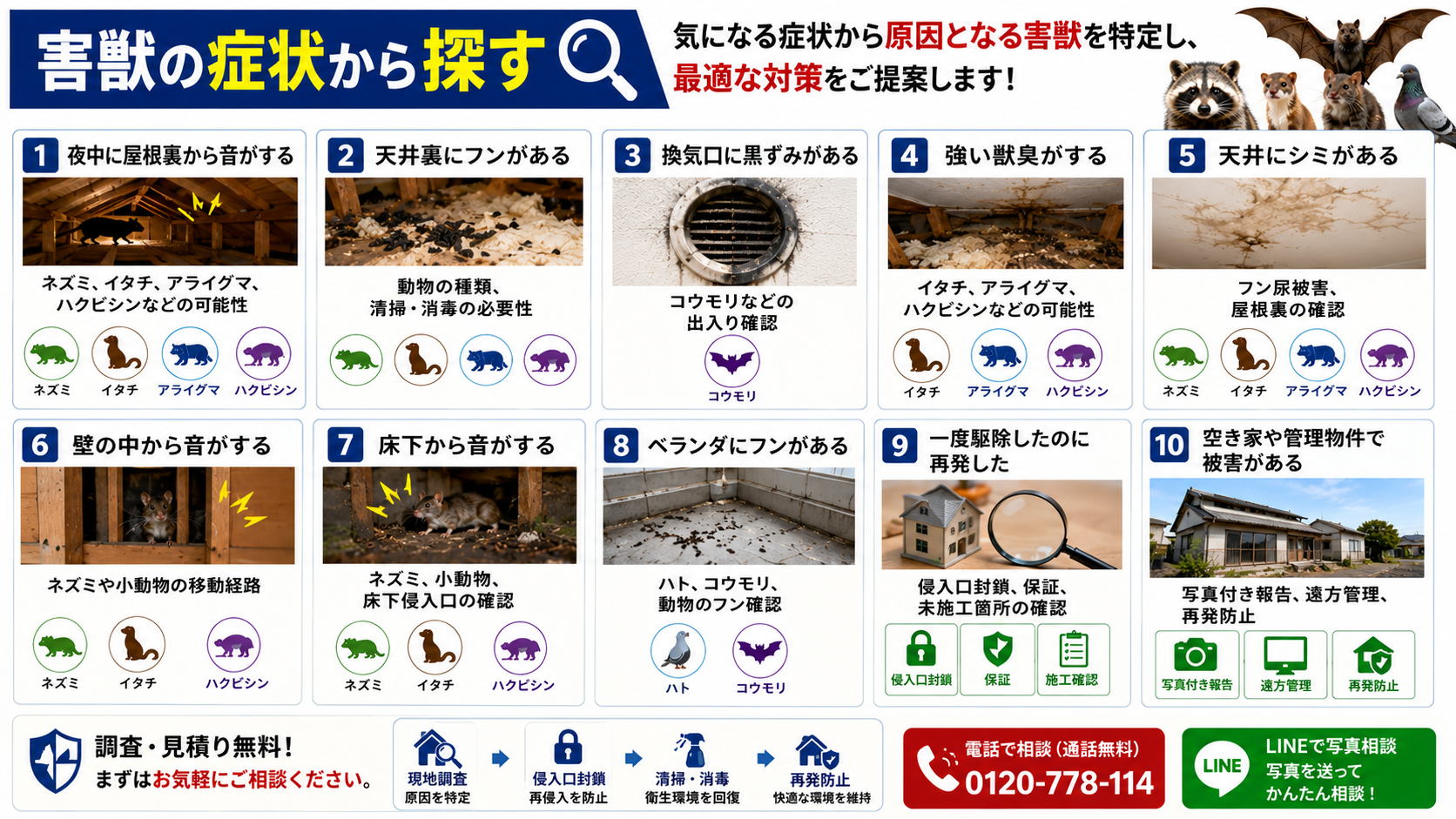 害獣の症状から探す害獣駆除案内画像|屋根裏の音・天井裏のフン・換気口の黒ずみ・獣臭・天井シミ・壁や床下の音・ベランダのフン・再発被害・空き家被害を調査し原因を確認
