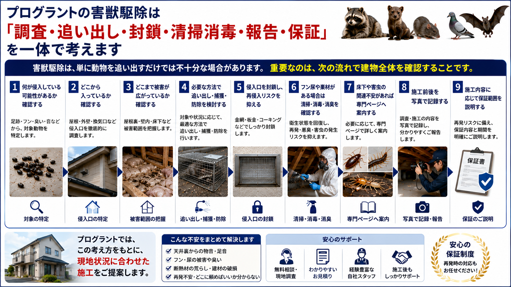 プログラントの害獣駆除の流れを解説した画像|害獣調査・追い出し・捕獲・侵入口封鎖・清掃消毒消臭・写真付き報告・保証説明まで一体で対応する施工案内