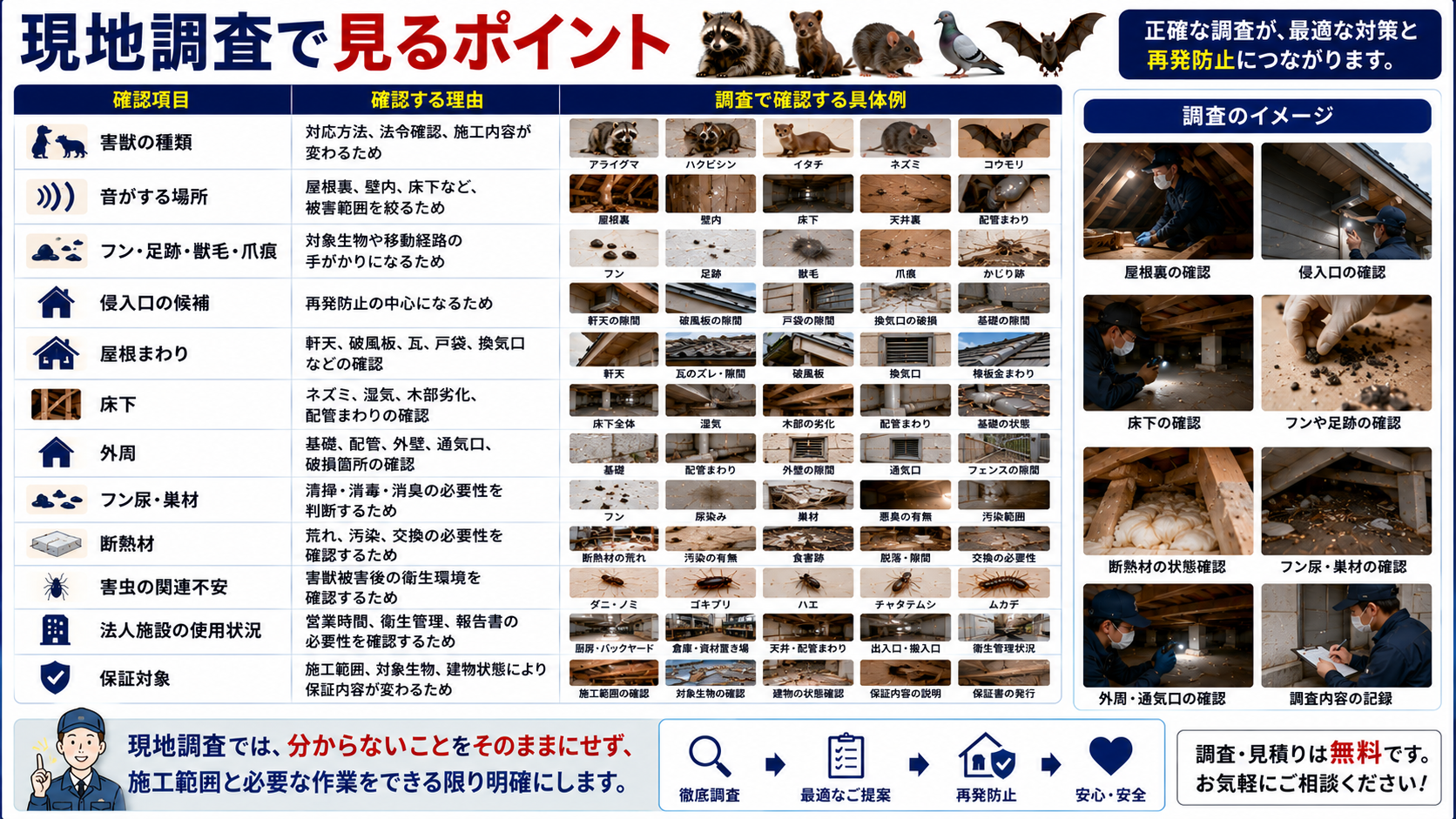 害獣駆除の現地調査で確認するポイントを解説した画像|害獣の種類・侵入口・フンや足跡・屋根裏・床下・外周・断熱材・害虫被害・保証対象まで調査内容を分かりやすく紹介