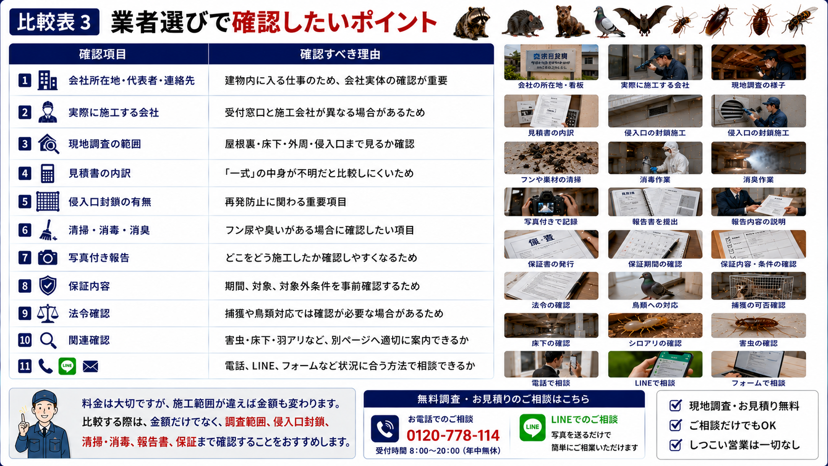 害獣駆除業者選びで確認したいポイントを解説した画像|会社所在地・施工会社・現地調査範囲・見積書内訳・侵入口封鎖・清掃消毒消臭・写真付き報告・保証内容・法令確認・相談導線を比較