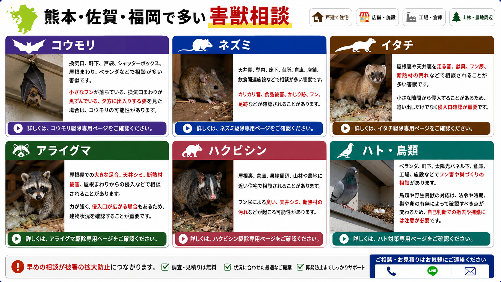 熊本・佐賀・福岡で多い害獣相談を解説した画像|コウモリ・ネズミ・イタチ・アライグマ・ハクビシン・ハト鳥類のよくある被害症状と専用ページへの案内