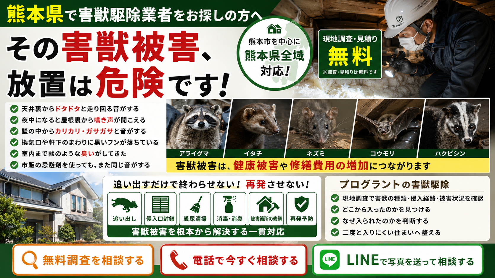 熊本県で害獣駆除業者を探している方向けのサムネイル画像|天井裏の足音・鳴き声・壁のカリカリ音・換気口のフン・獣臭などアライグマ・イタチ・ネズミ・コウモリ・ハクビシン被害を無料調査と侵入口封鎖で対応