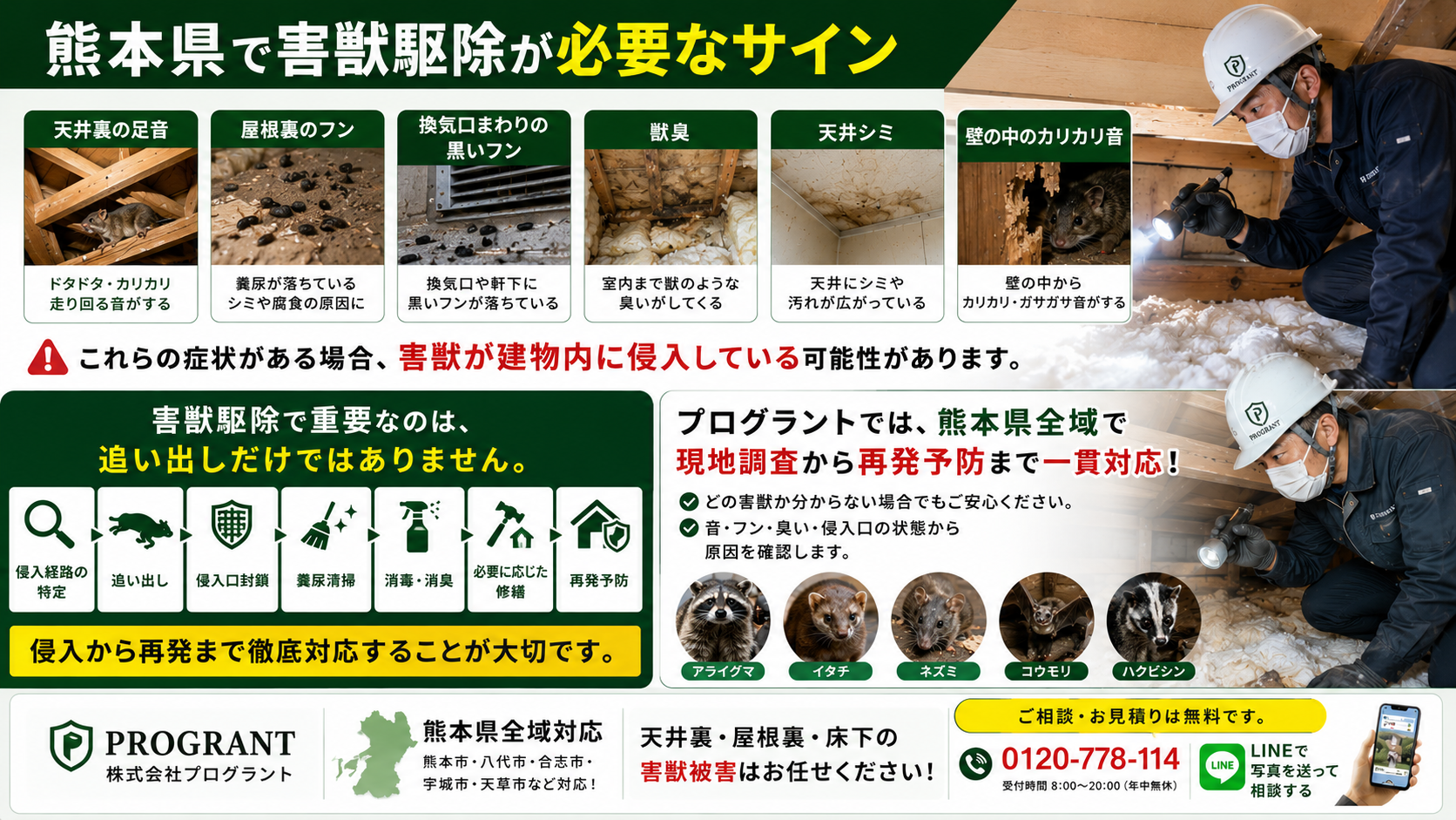 熊本県で害獣駆除が必要なサインを解説した画像|天井裏の足音・屋根裏のフン・換気口の黒いフン・獣臭・天井シミ・壁のカリカリ音から害獣侵入を確認し、追い出し・侵入口封鎖・清掃消毒・再発予防まで対応