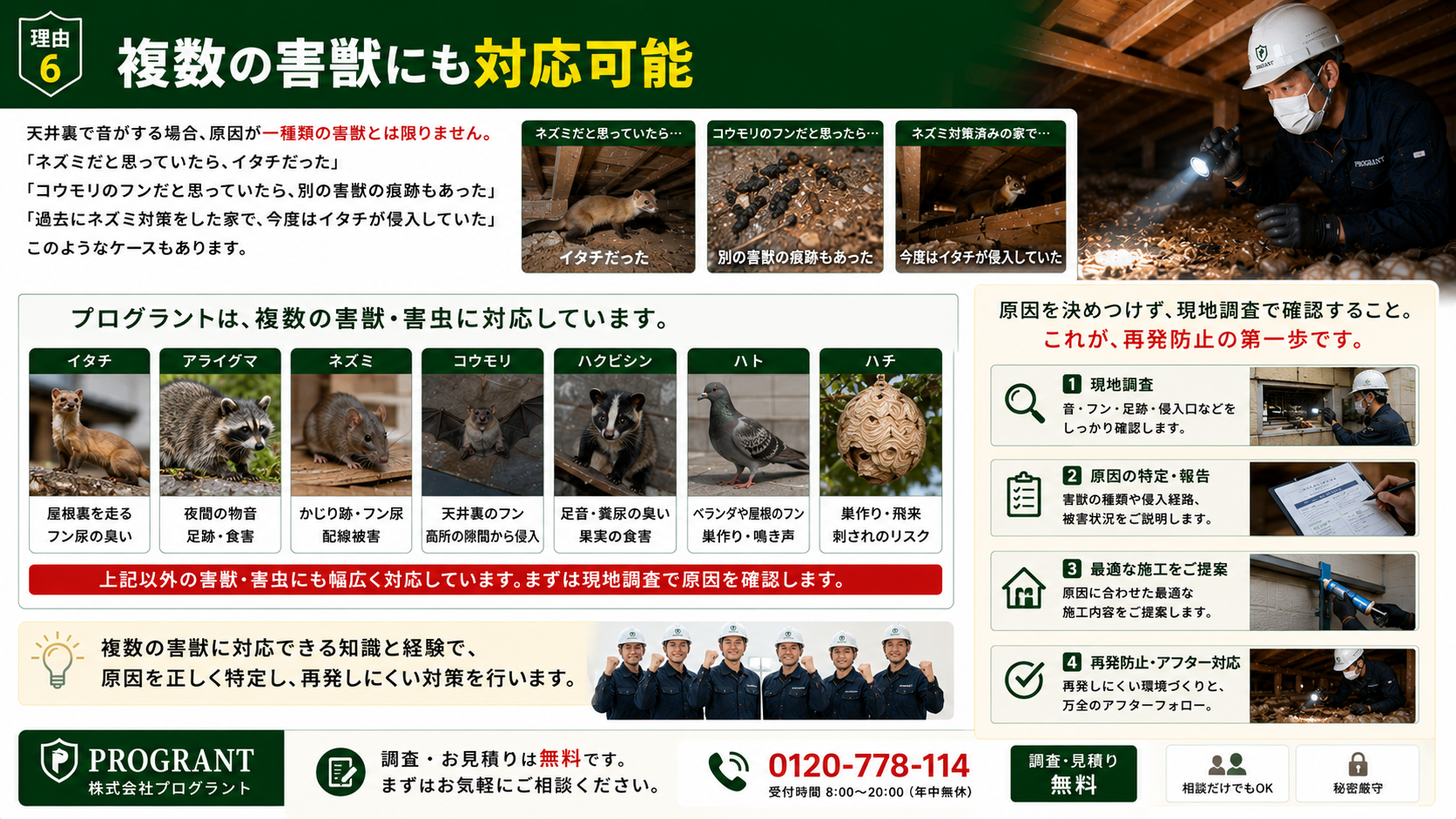 複数の害獣・害虫に対応できるプログラントの害獣駆除案内画像|イタチ・アライグマ・ネズミ・コウモリ・ハクビシン・ハト・ハチなどを現地調査で確認し、原因特定から再発防止まで対応