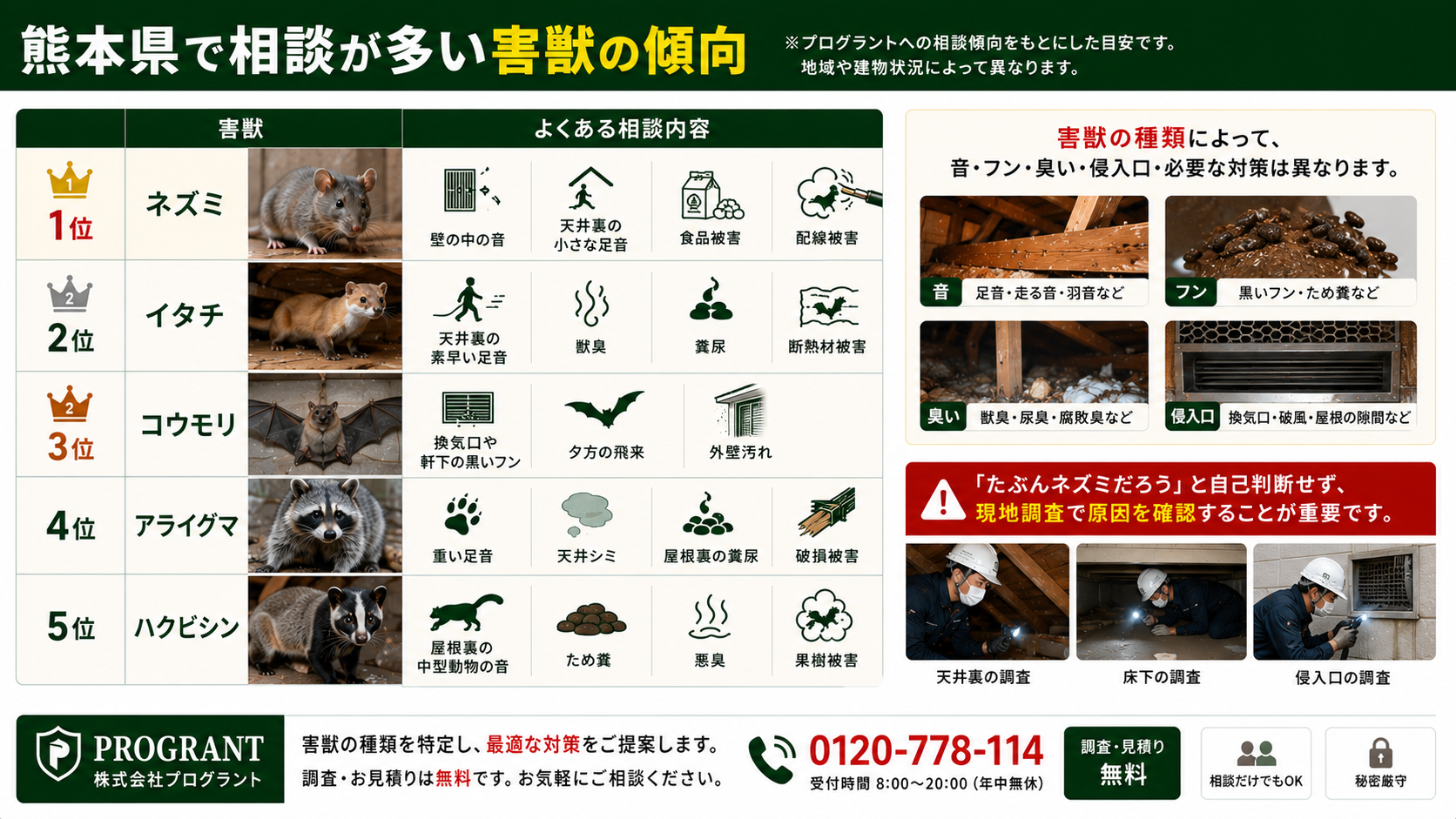熊本県で相談が多い害獣の傾向を解説した画像|ネズミ・イタチ・コウモリ・アライグマ・ハクビシンのよくある被害症状と、音・フン・臭い・侵入口を現地調査で確認する重要性を紹介
