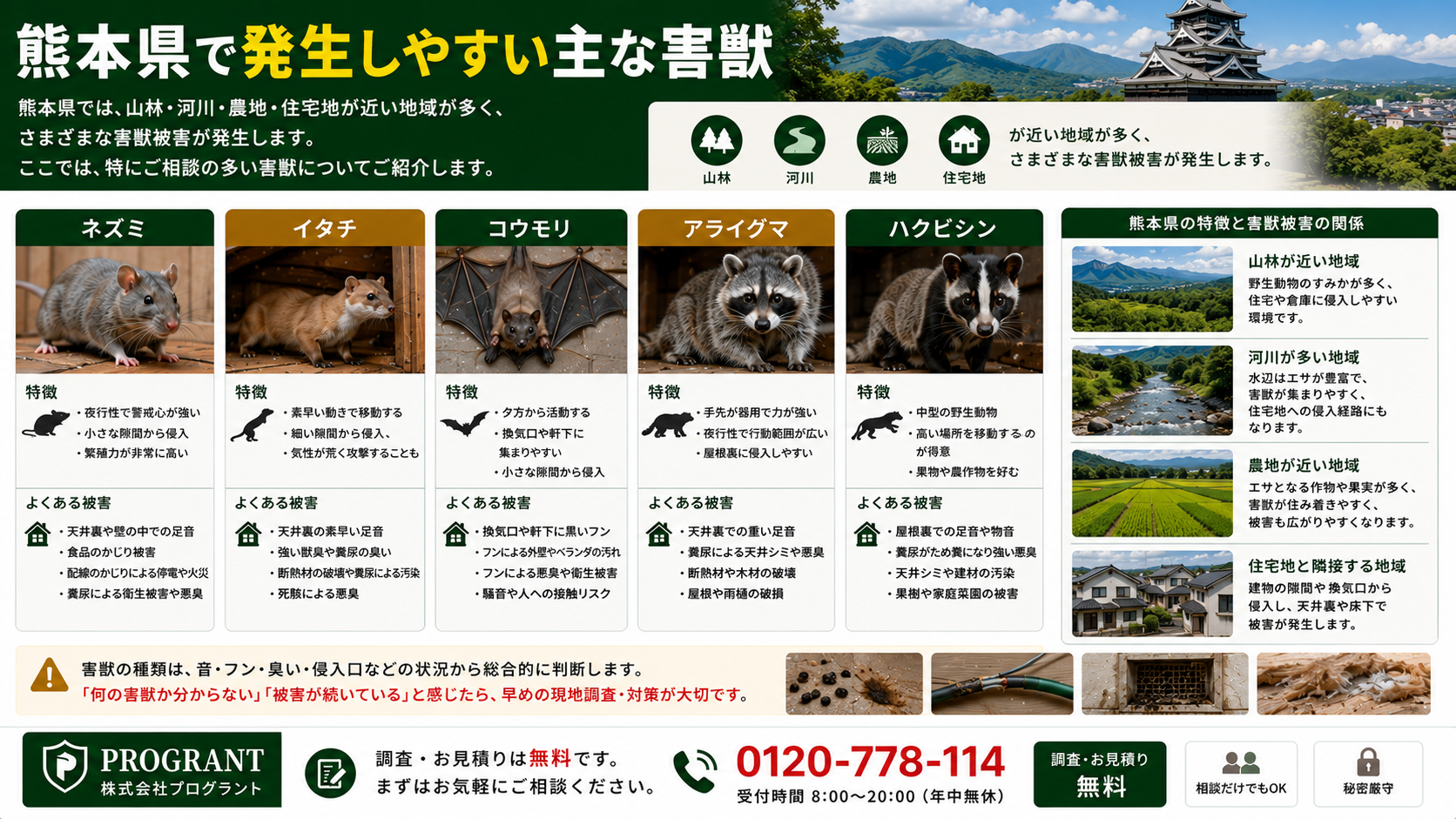 熊本県で発生しやすい主な害獣を紹介する画像|山林・河川・農地・住宅地が近い地域で相談が多いネズミ・イタチ・コウモリ・アライグマ・ハクビシンの特徴と被害を解説