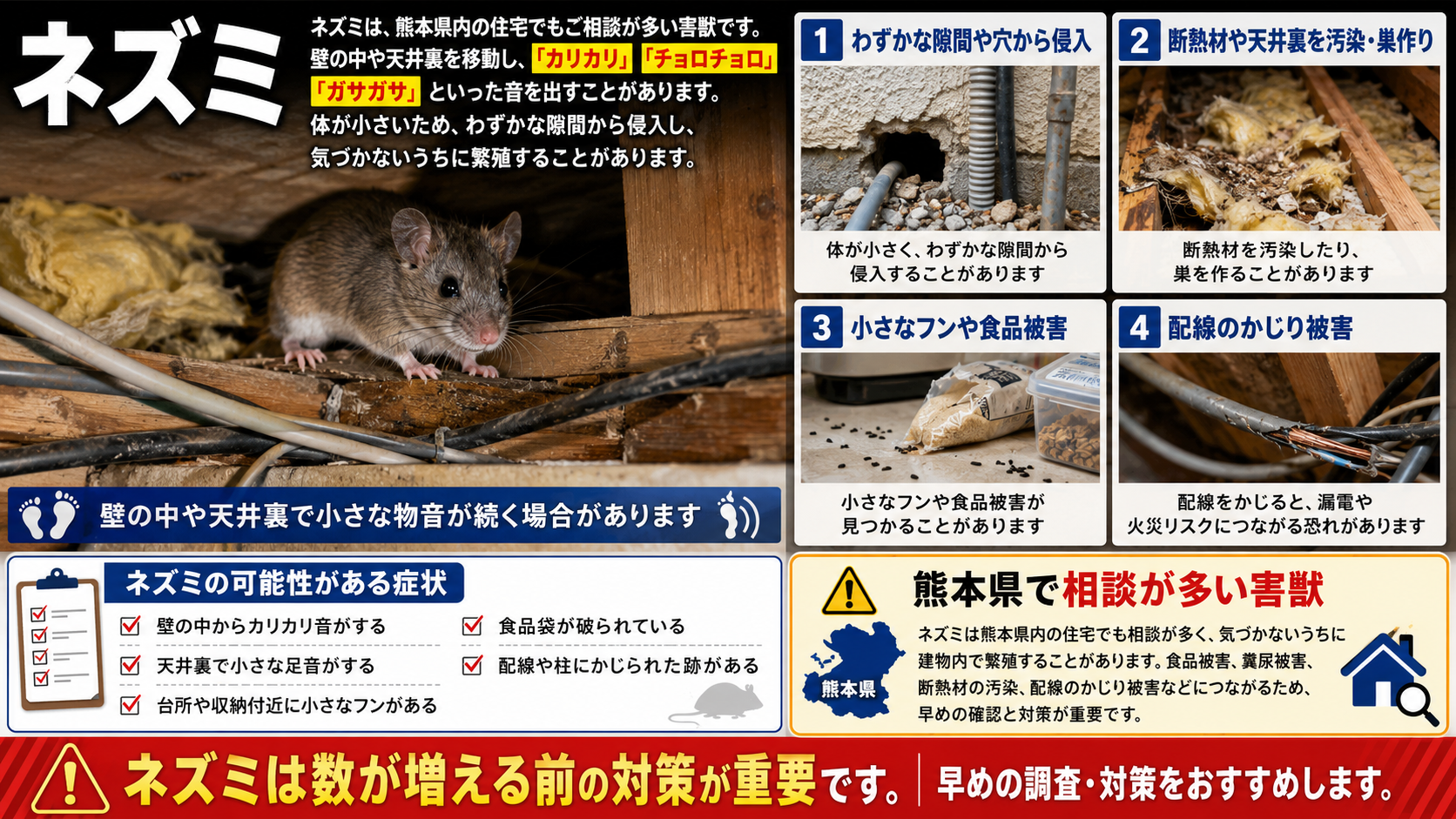 屋根裏のネズミ被害として、侵入口・断熱材汚染・小さなフン・食品被害・配線かじり被害と、熊本県で多い症状を解説した16対9の注意喚起画像