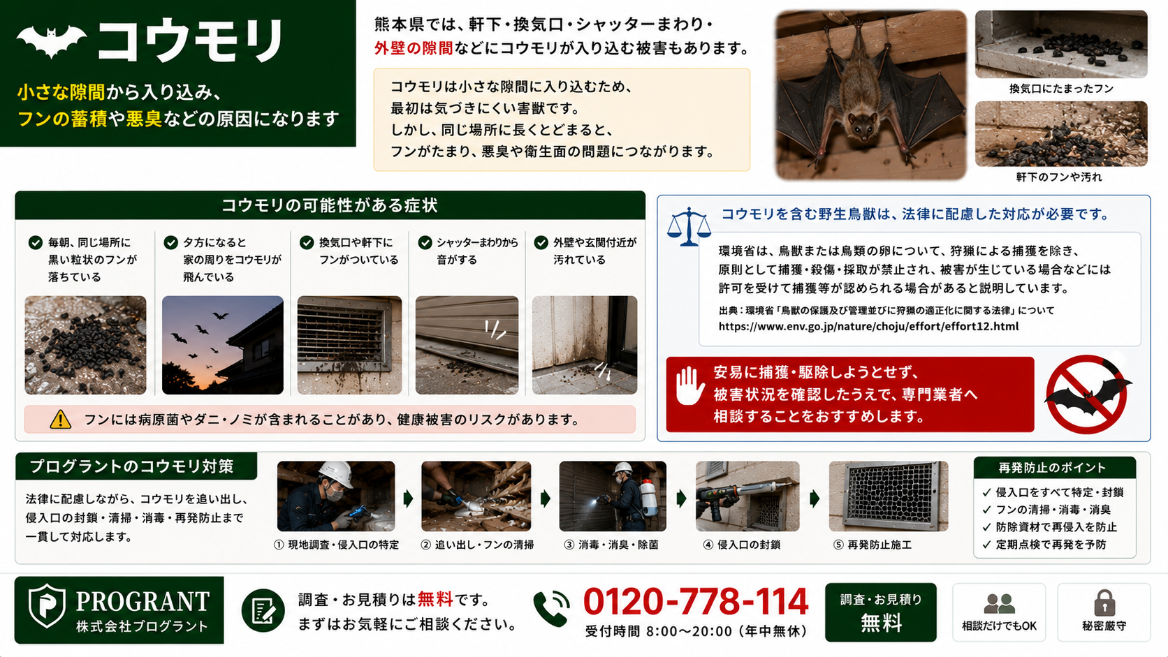 熊本県のコウモリ被害を解説した画像|軒下・換気口・シャッターまわり・外壁の隙間に入り込み、黒い粒状のフン・夕方の飛来・外壁汚れ・悪臭・衛生不安がある場合は法令に配慮して専門業者へ相談