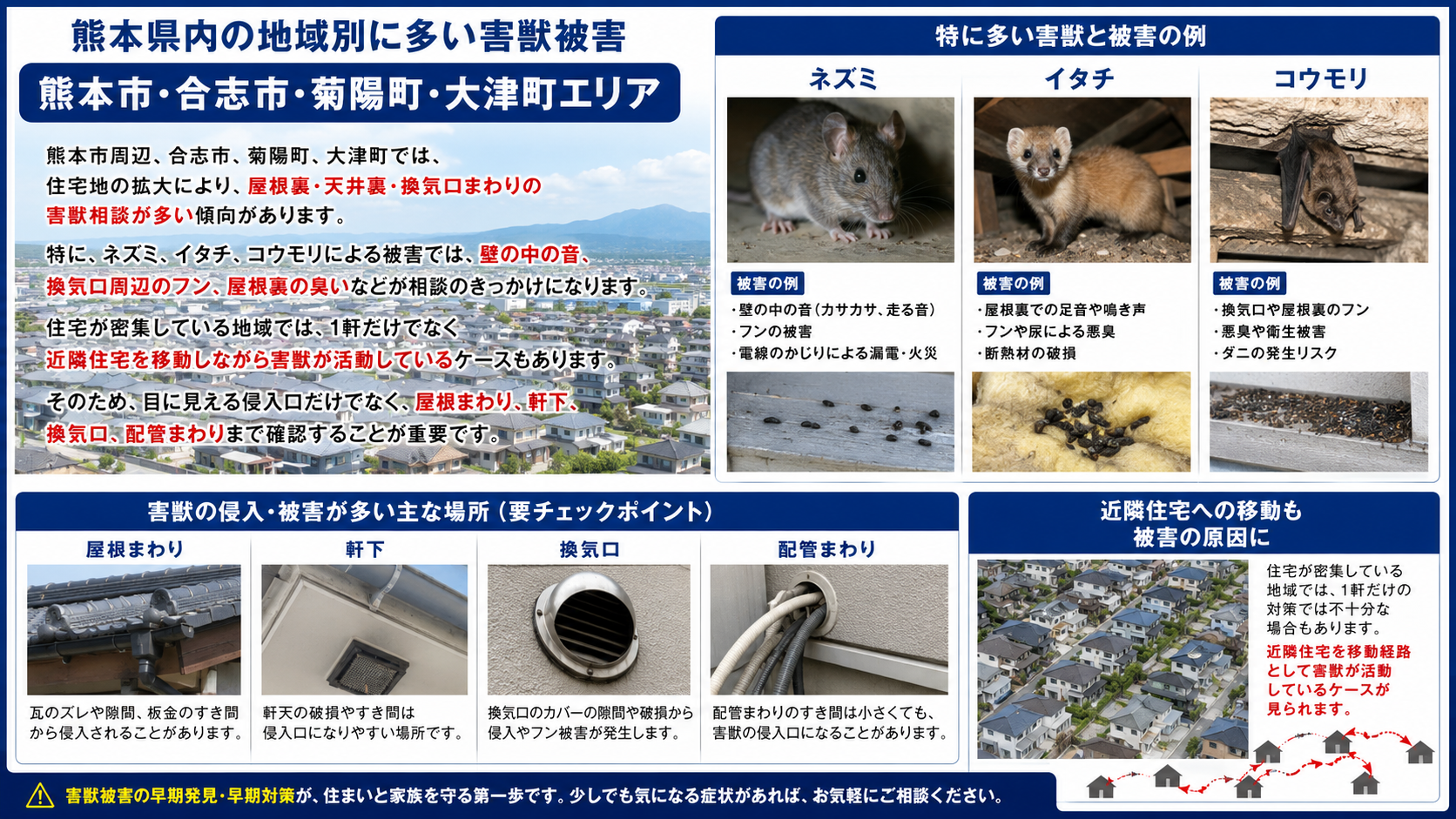 熊本市・合志市・菊陽町・大津町で多いネズミ・イタチ・コウモリ被害と屋根裏・換気口・配管まわりの確認ポイントを解説した画像