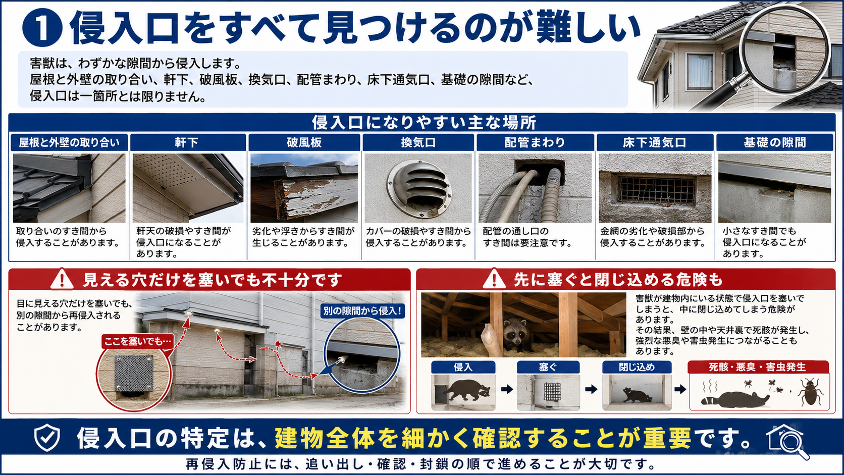 害獣の侵入口調査で屋根まわり・軒下・換気口・配管・床下通気口・基礎の隙間を確認し、再侵入や閉じ込めリスクを解説した画像