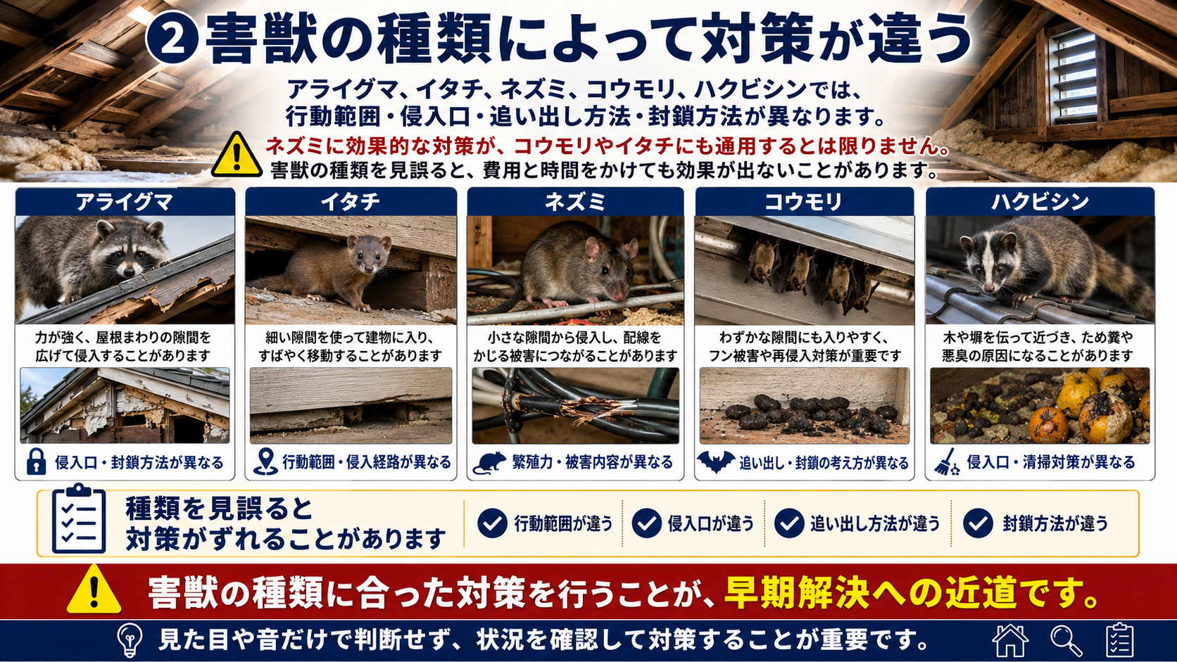 アライグマ・イタチ・ネズミ・コウモリ・ハクビシンの種類ごとに異なる侵入口・行動範囲・追い出し方法・封鎖対策を解説した画像