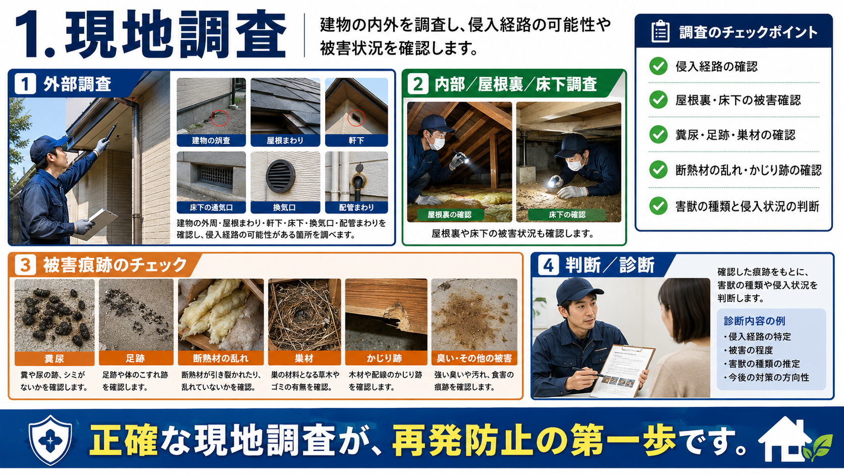 害獣駆除の現地調査で建物外周・屋根まわり・床下・換気口・配管まわりを確認し、糞尿・足跡・巣材・断熱材の乱れから侵入状況を判断する流れを解説した画像
