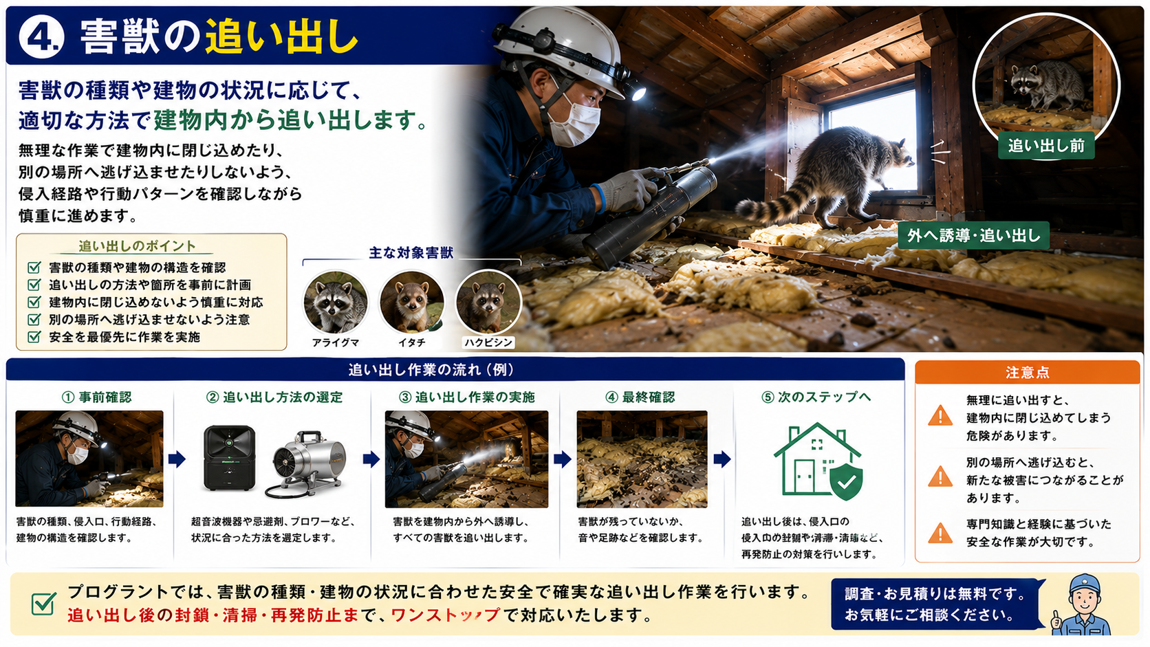 害獣駆除でアライグマ・イタチ・ハクビシンを建物内に閉じ込めず安全に追い出す作業手順を解説した画像