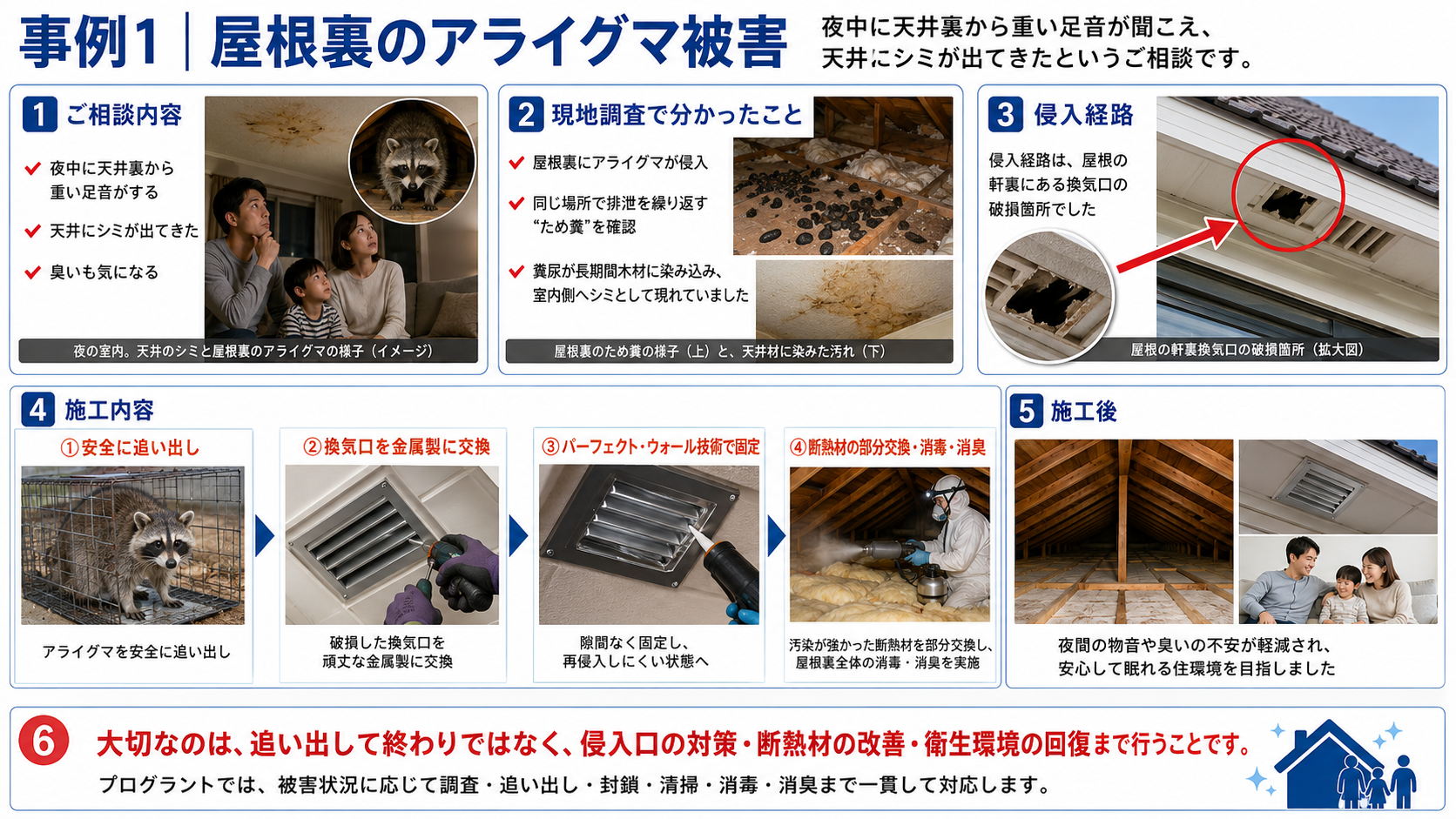 屋根裏に侵入したアライグマのため糞被害、天井シミ、破損した換気口の侵入口、追い出し・換気口交換・断熱材部分交換・消毒消臭までの施工事例を解説した画像