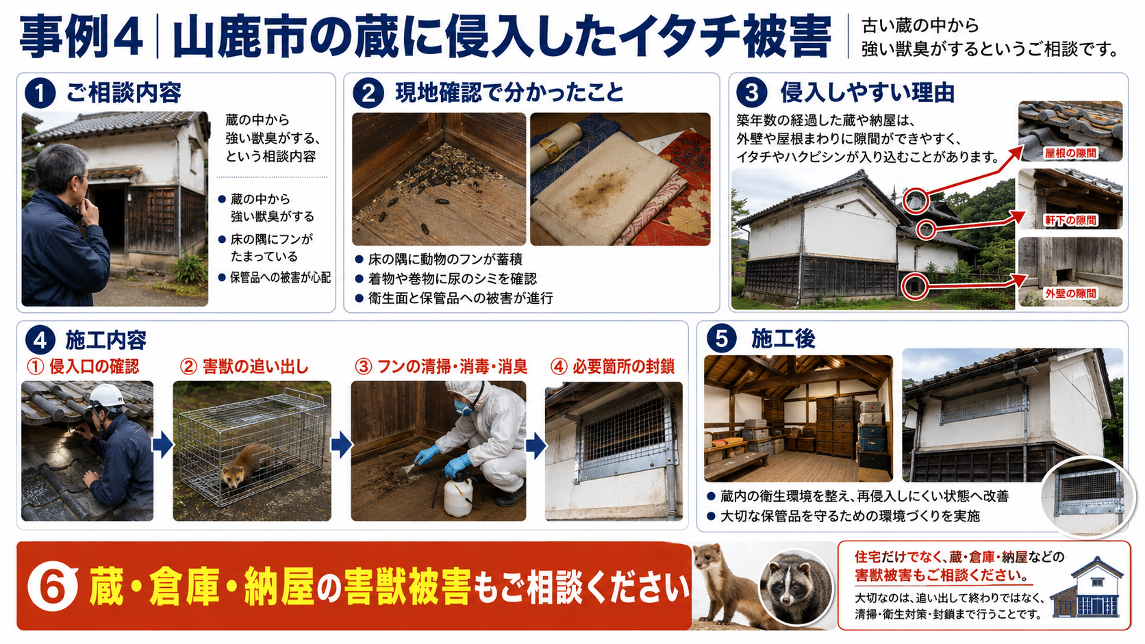山鹿市の古い蔵に侵入したイタチ被害として、獣臭、フンの蓄積、着物や巻物の尿シミ、侵入口確認、追い出し、清掃、消毒、消臭、封鎖施工までの流れを解説した画像