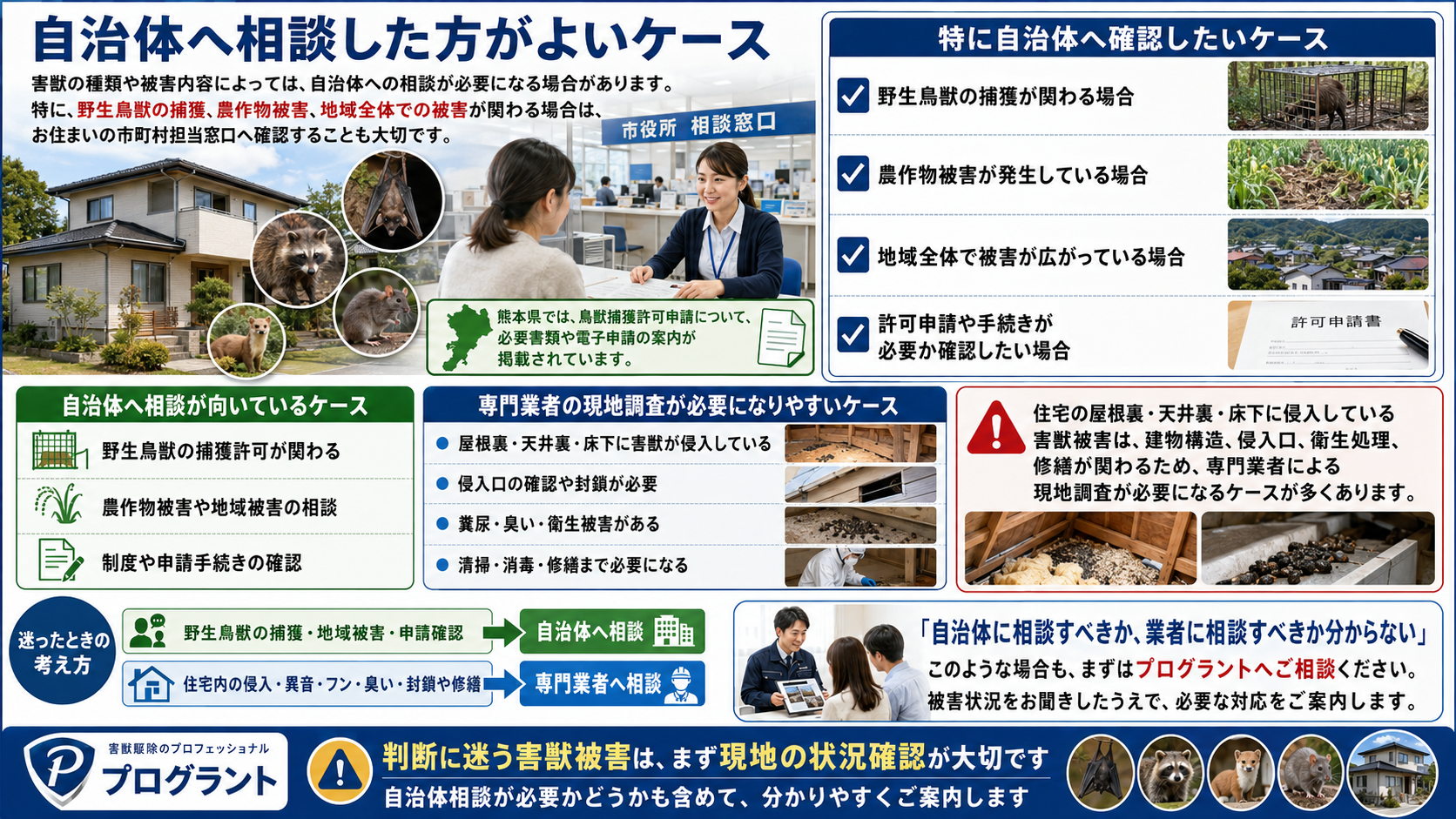 害獣被害で自治体へ相談した方がよいケースとして、野生鳥獣の捕獲許可・農作物被害・地域被害・申請手続きと、専門業者による現地調査が必要な住宅被害を解説した画像
