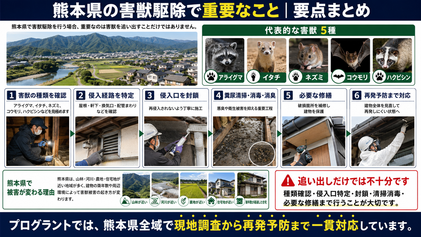 熊本県の害獣駆除で重要な害獣の種類確認・侵入経路特定・侵入口封鎖・糞尿清掃・消毒消臭・修繕・再発予防を解説した画像