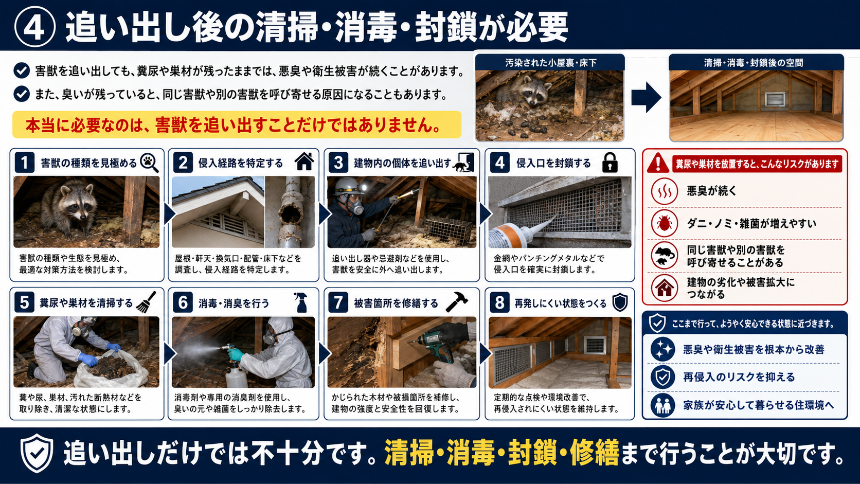 害獣を追い出した後に必要な種類確認・侵入経路特定・追い出し・侵入口封鎖・糞尿や巣材の清掃・消毒消臭・修繕・再発防止を解説した画像