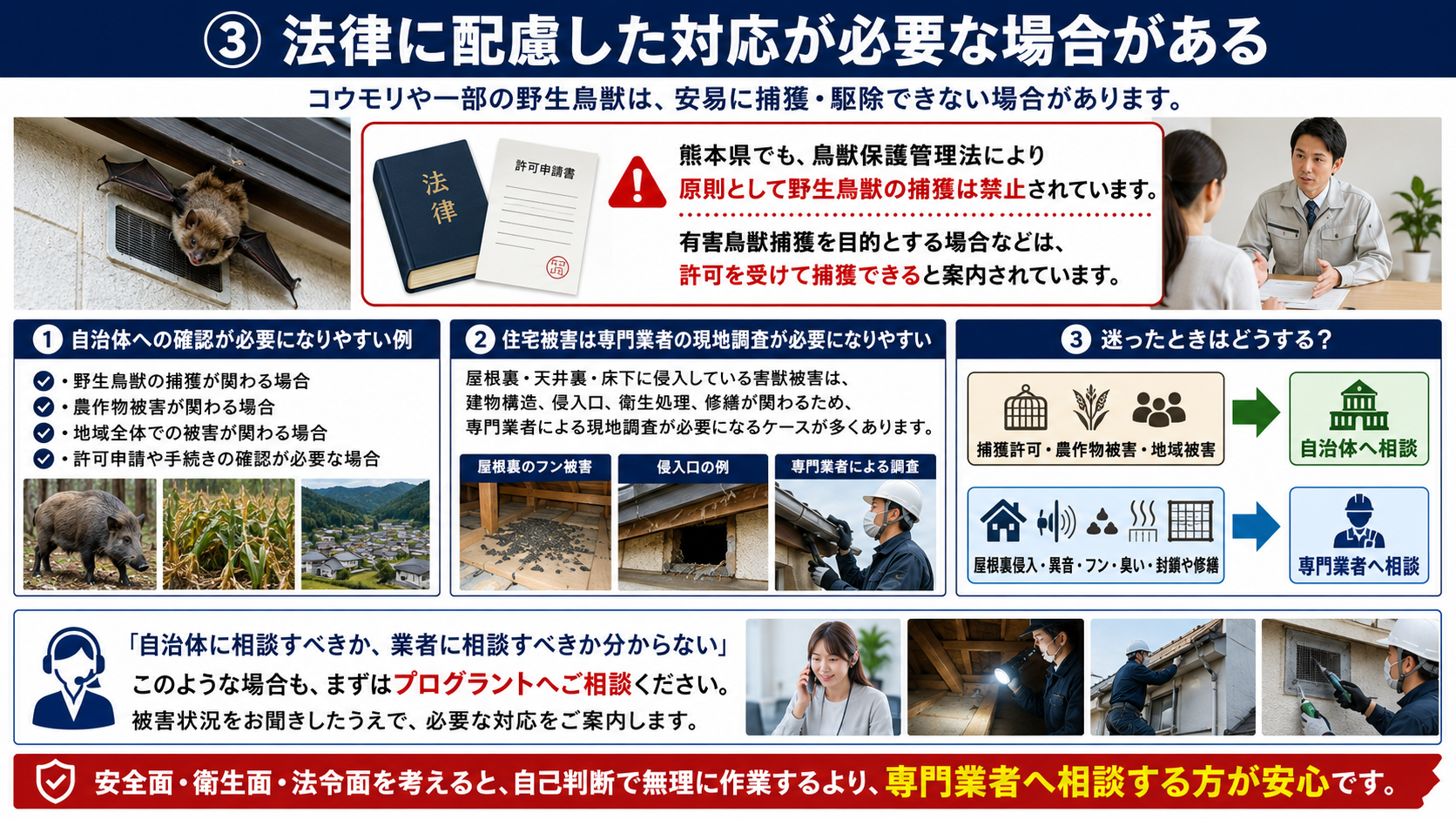 コウモリや一部の野生鳥獣の駆除で、鳥獣保護管理法に基づく捕獲許可や自治体確認、安全面・衛生面・法令面に配慮した専門業者相談の重要性を解説した画像